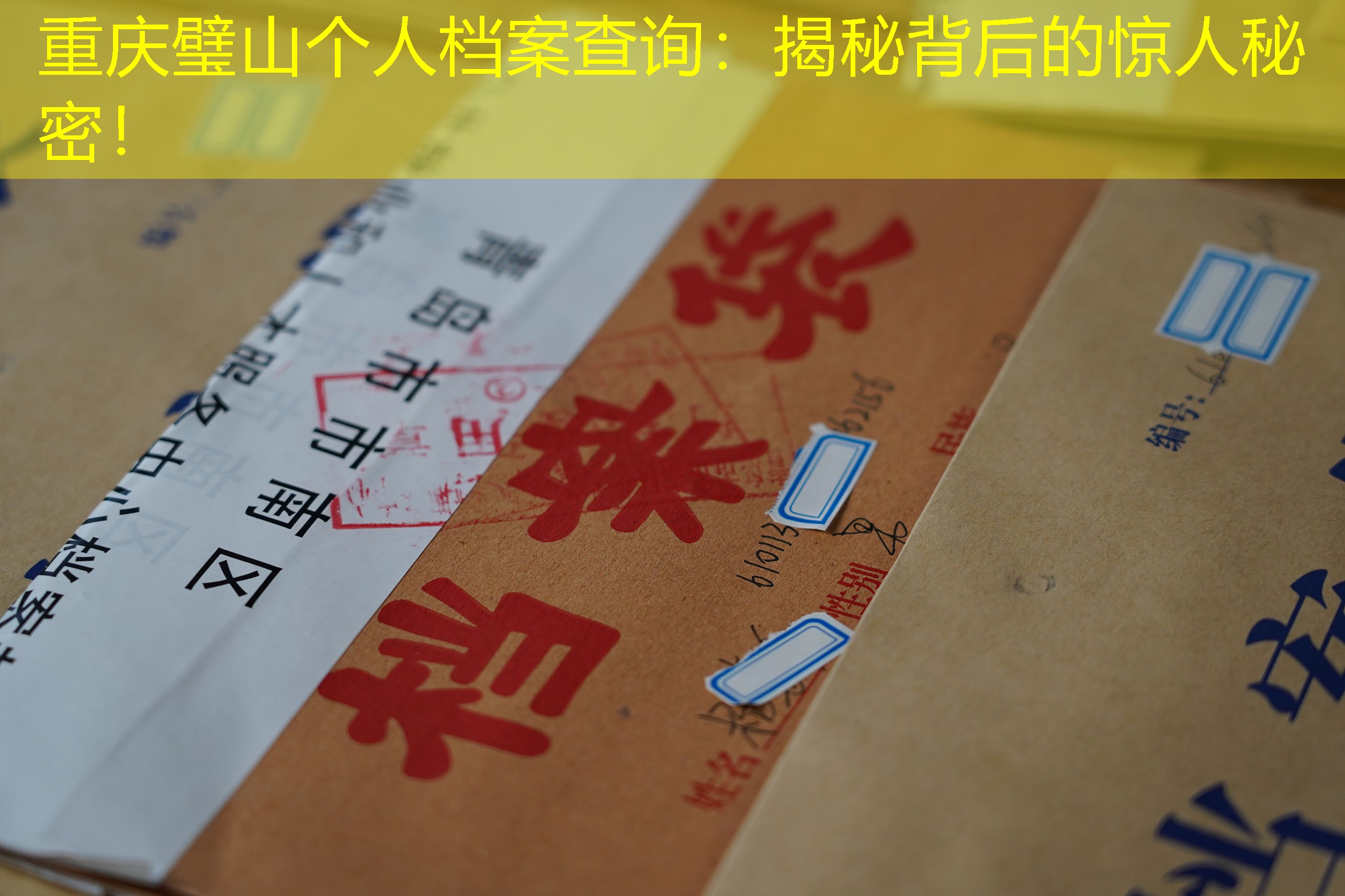 档案查询