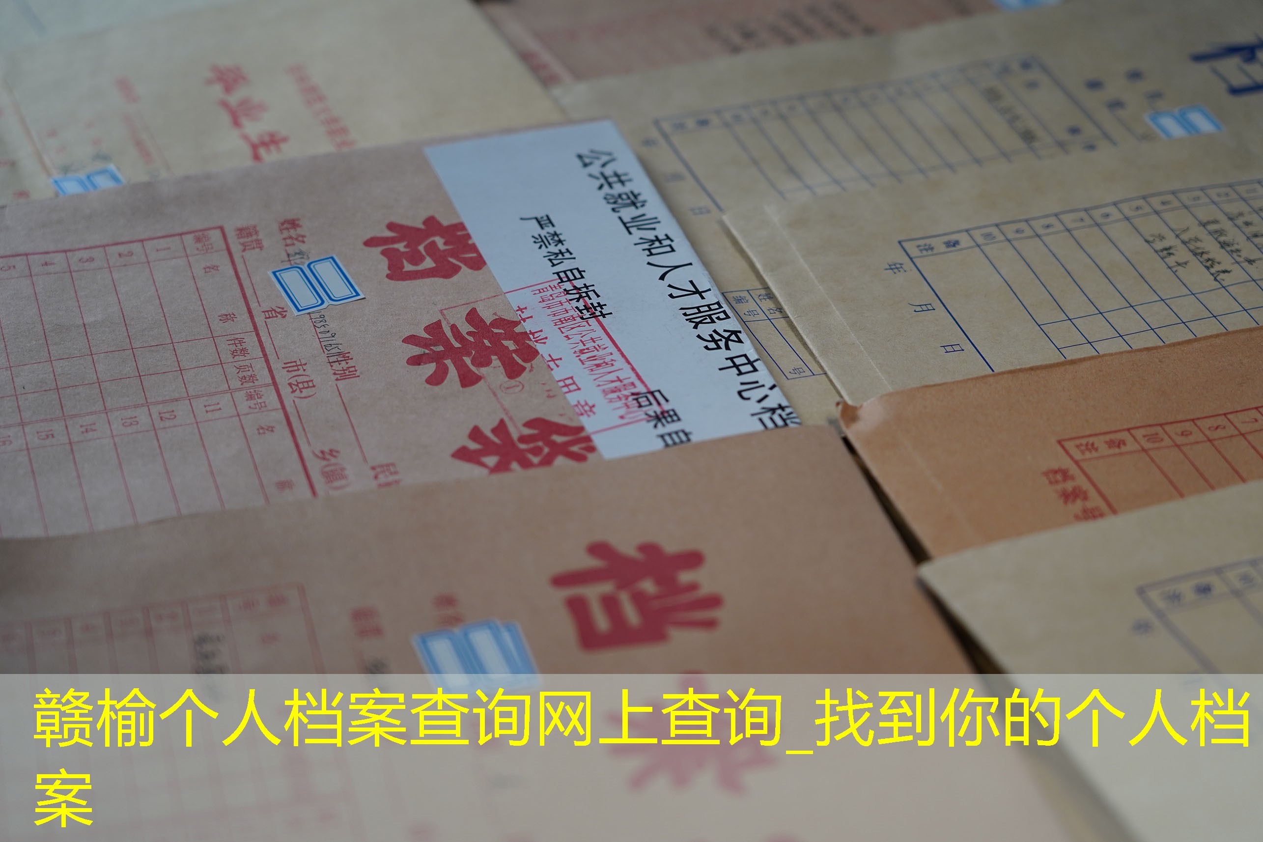 档案查询