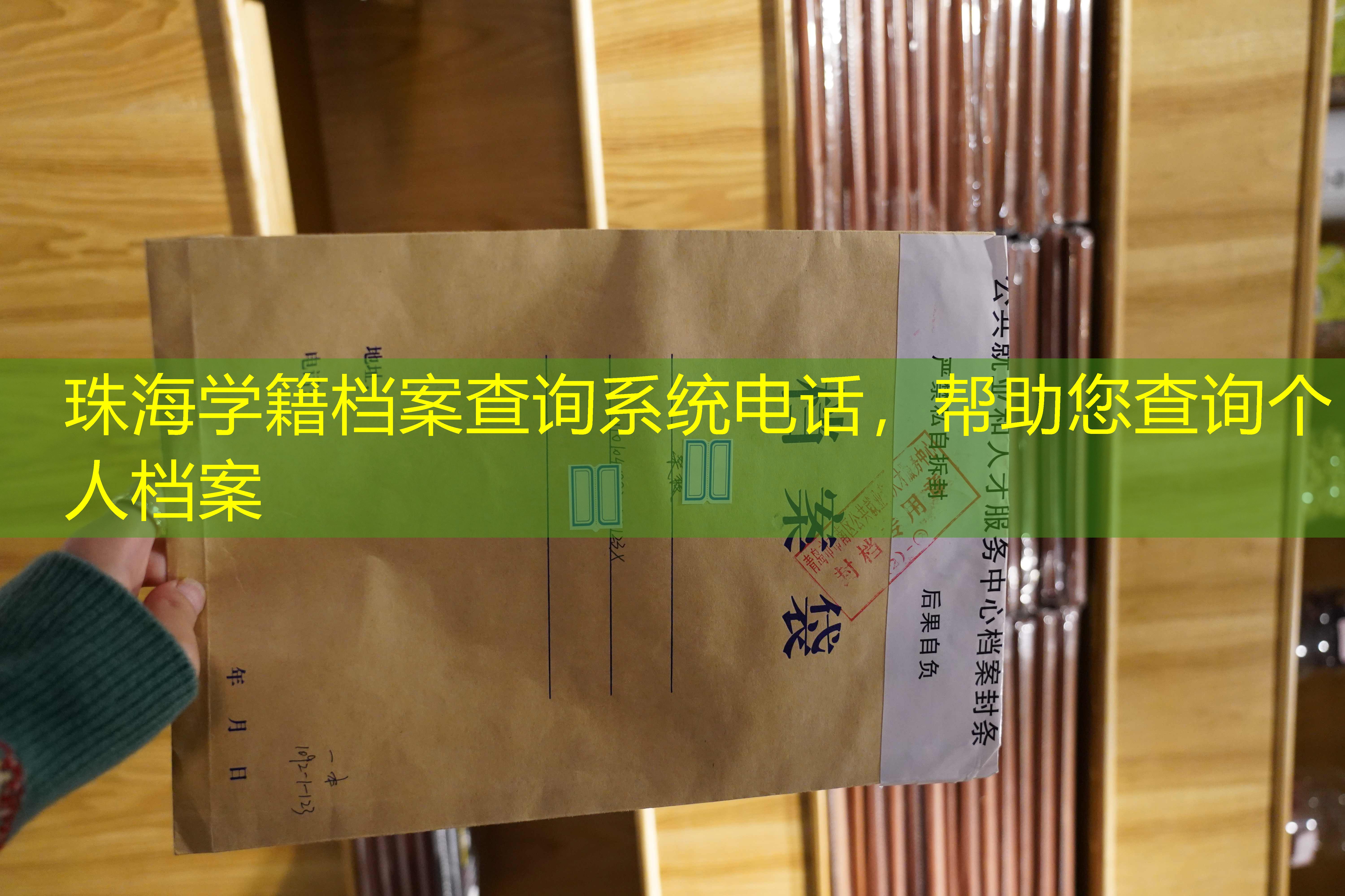 档案查询