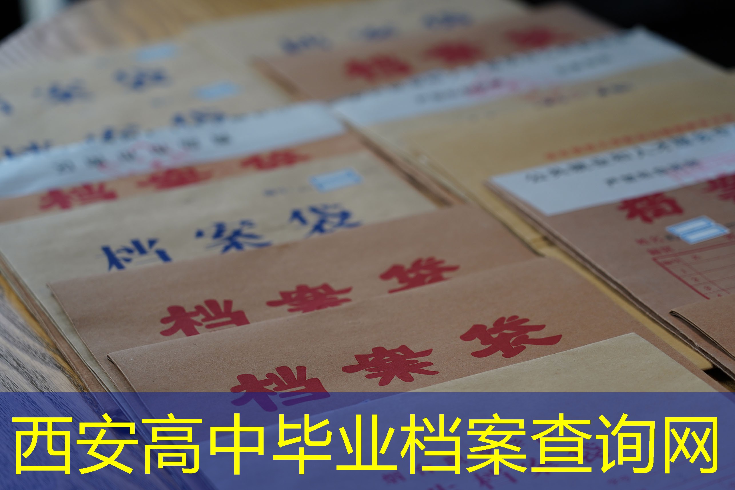 档案查询