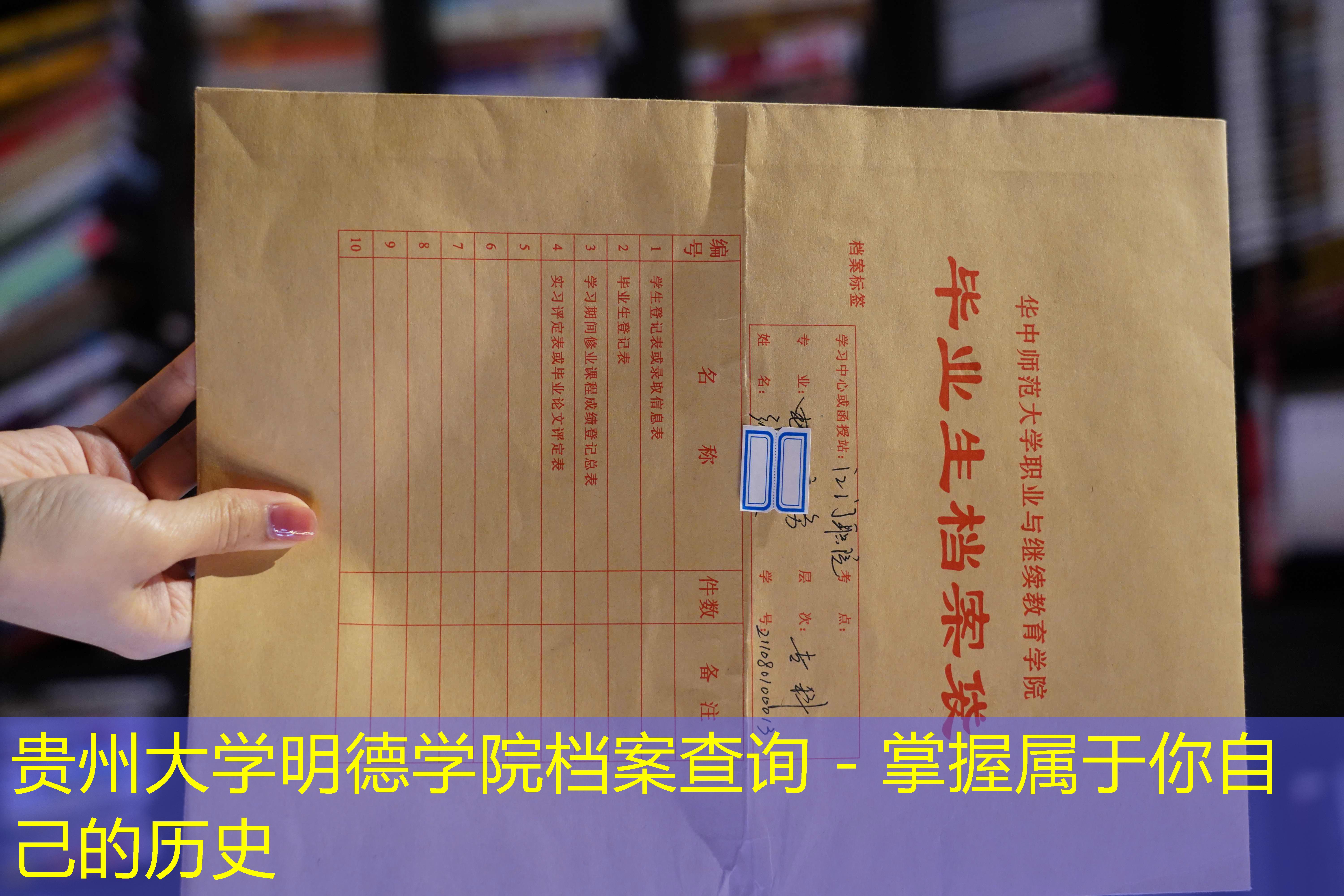 档案查询