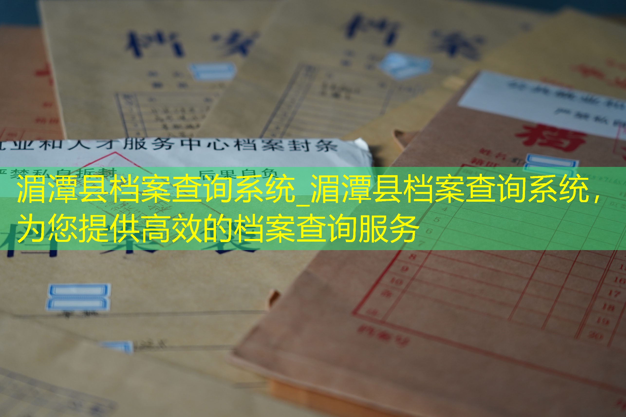 档案查询