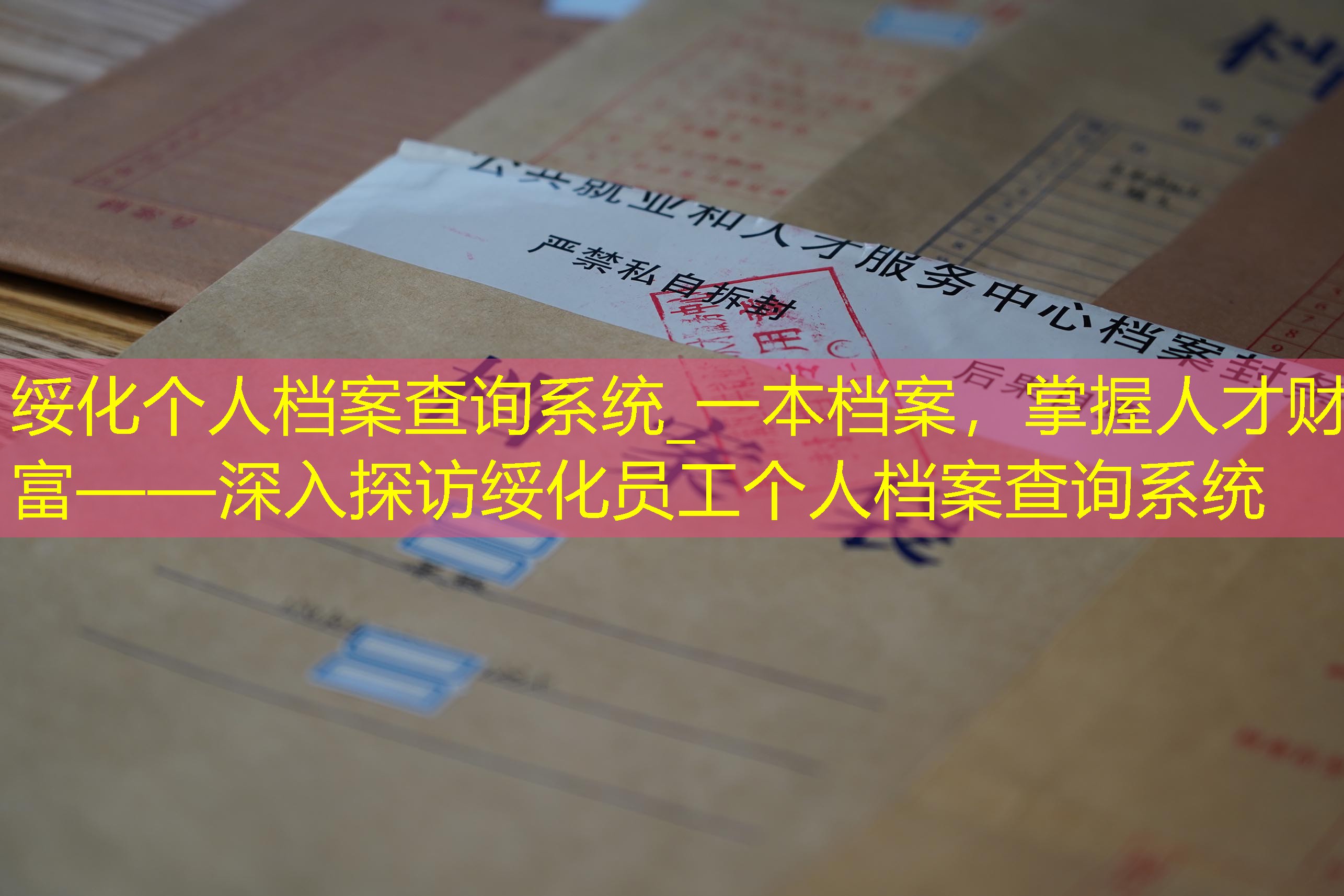 档案查询