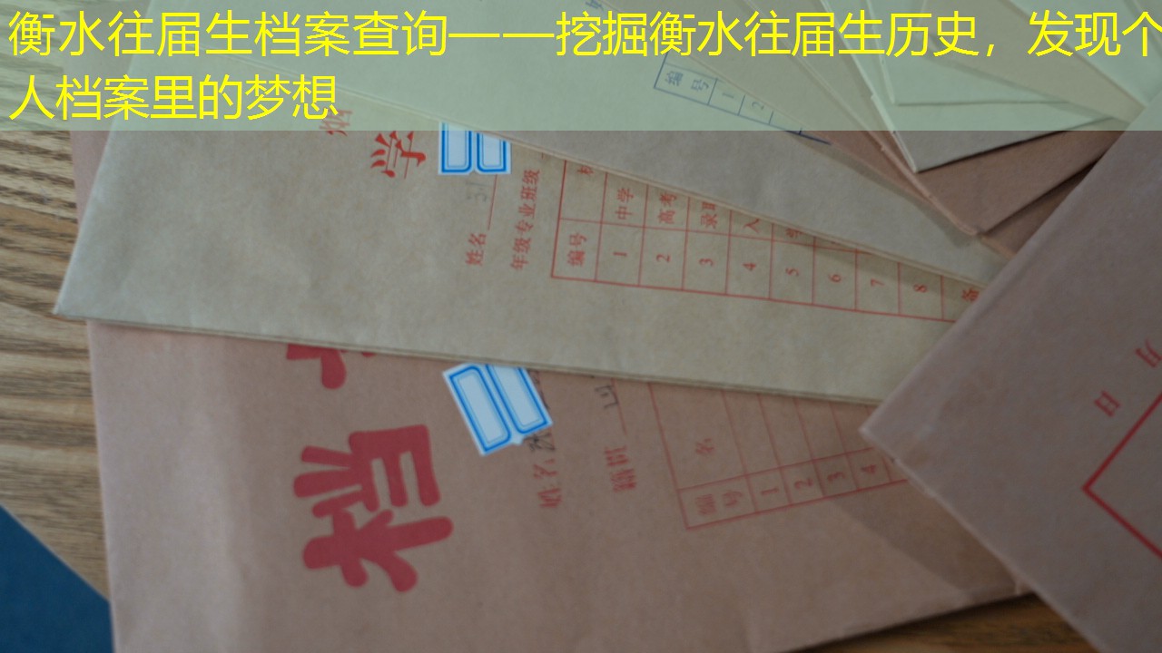 档案查询