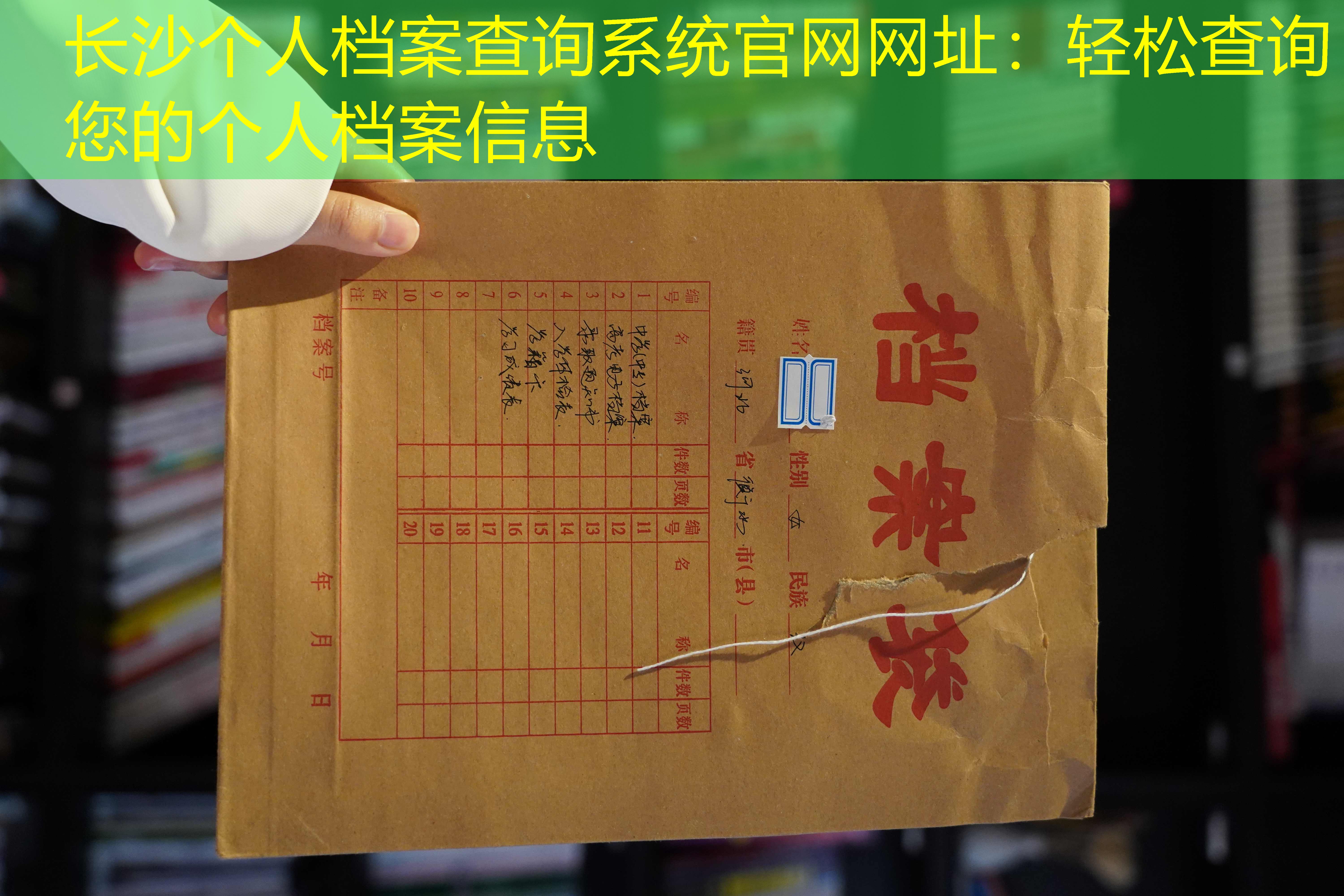 档案查询