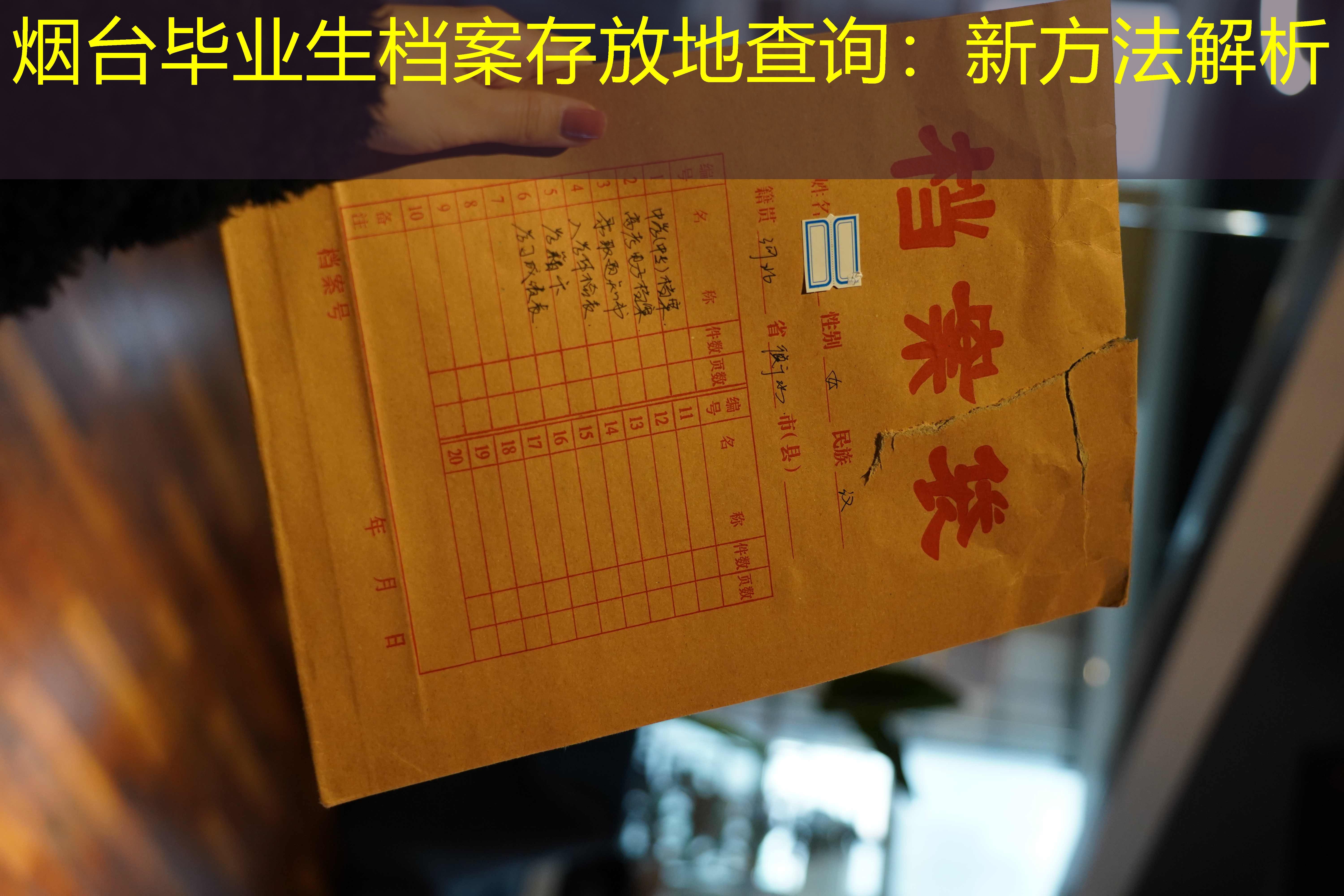 档案查询