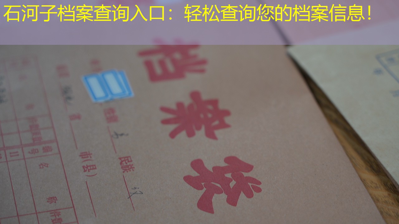 档案查询