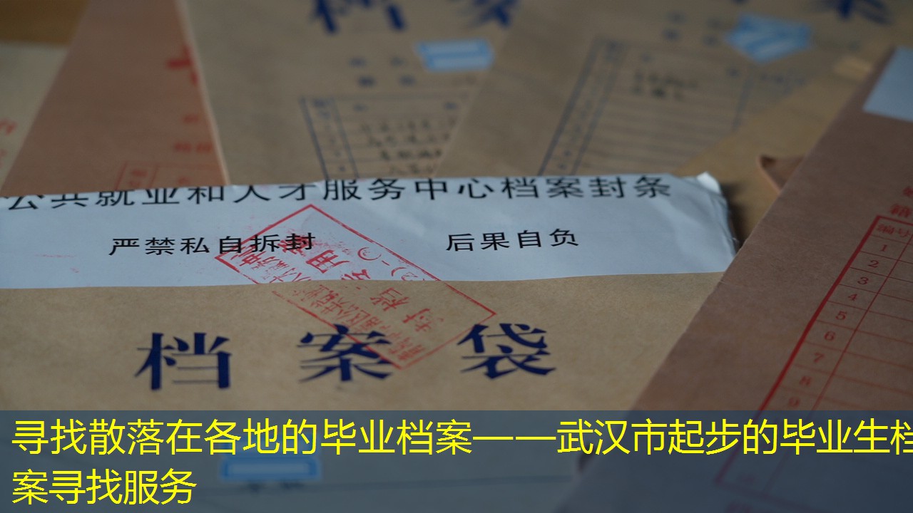 档案查询