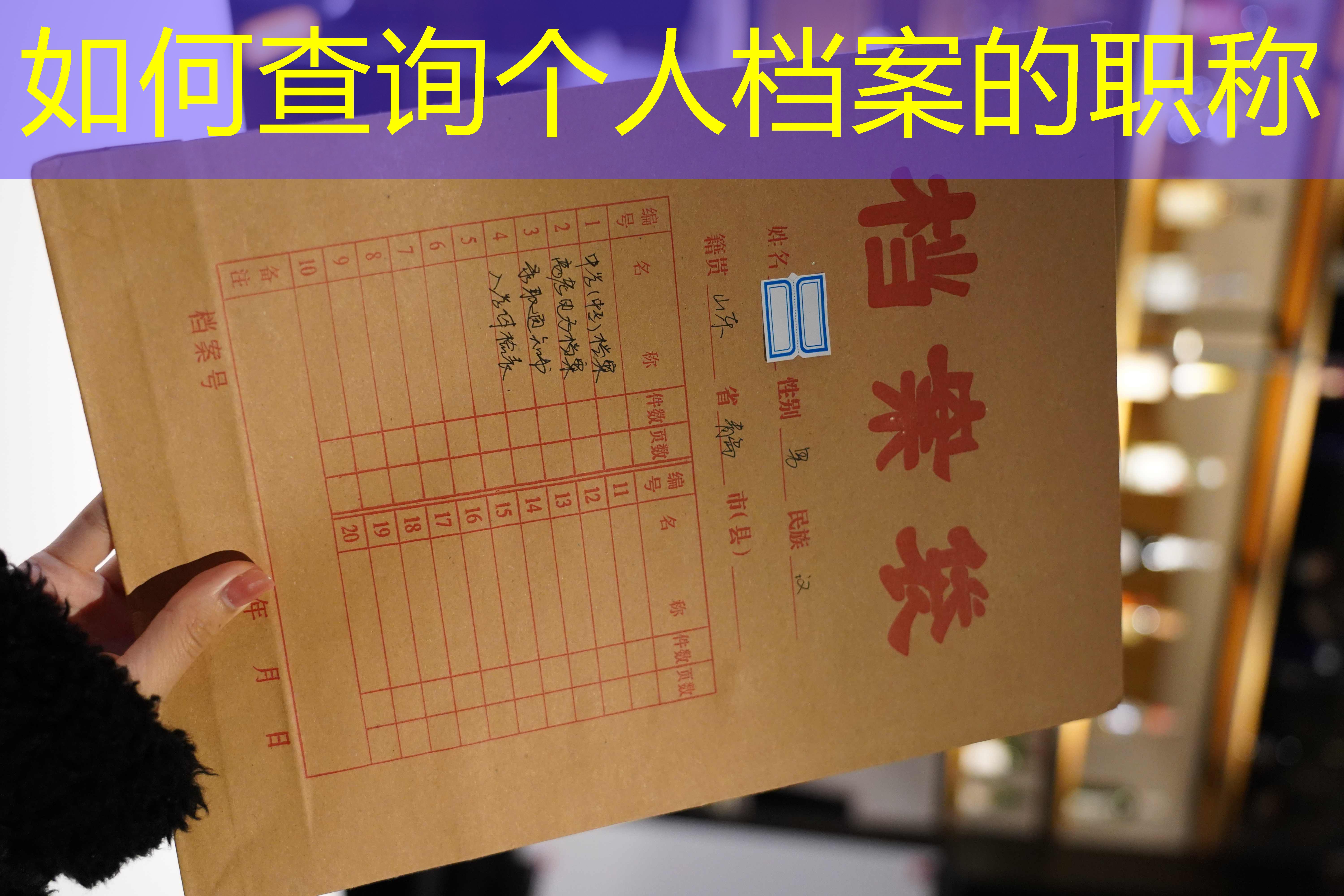 档案查询