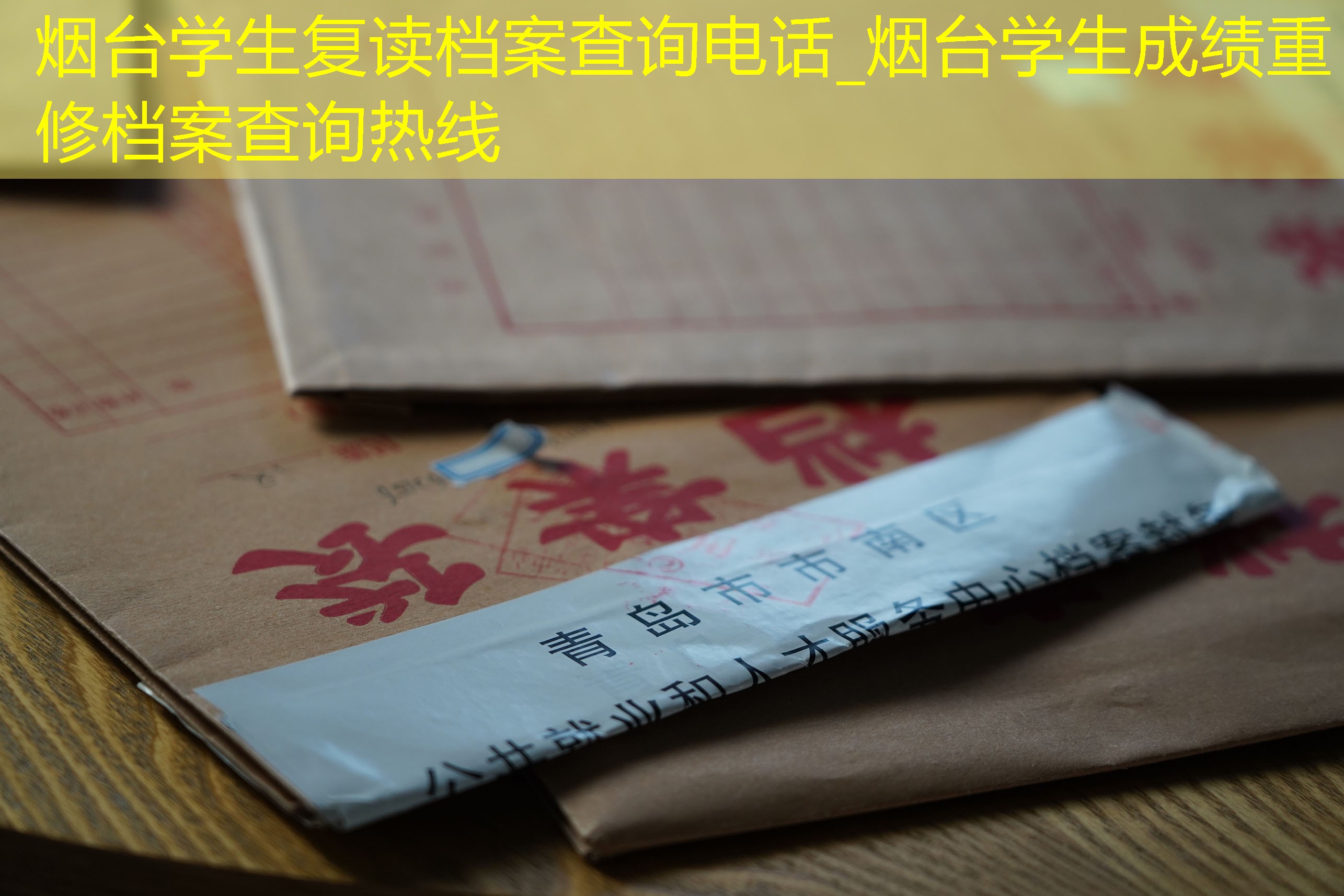 档案查询