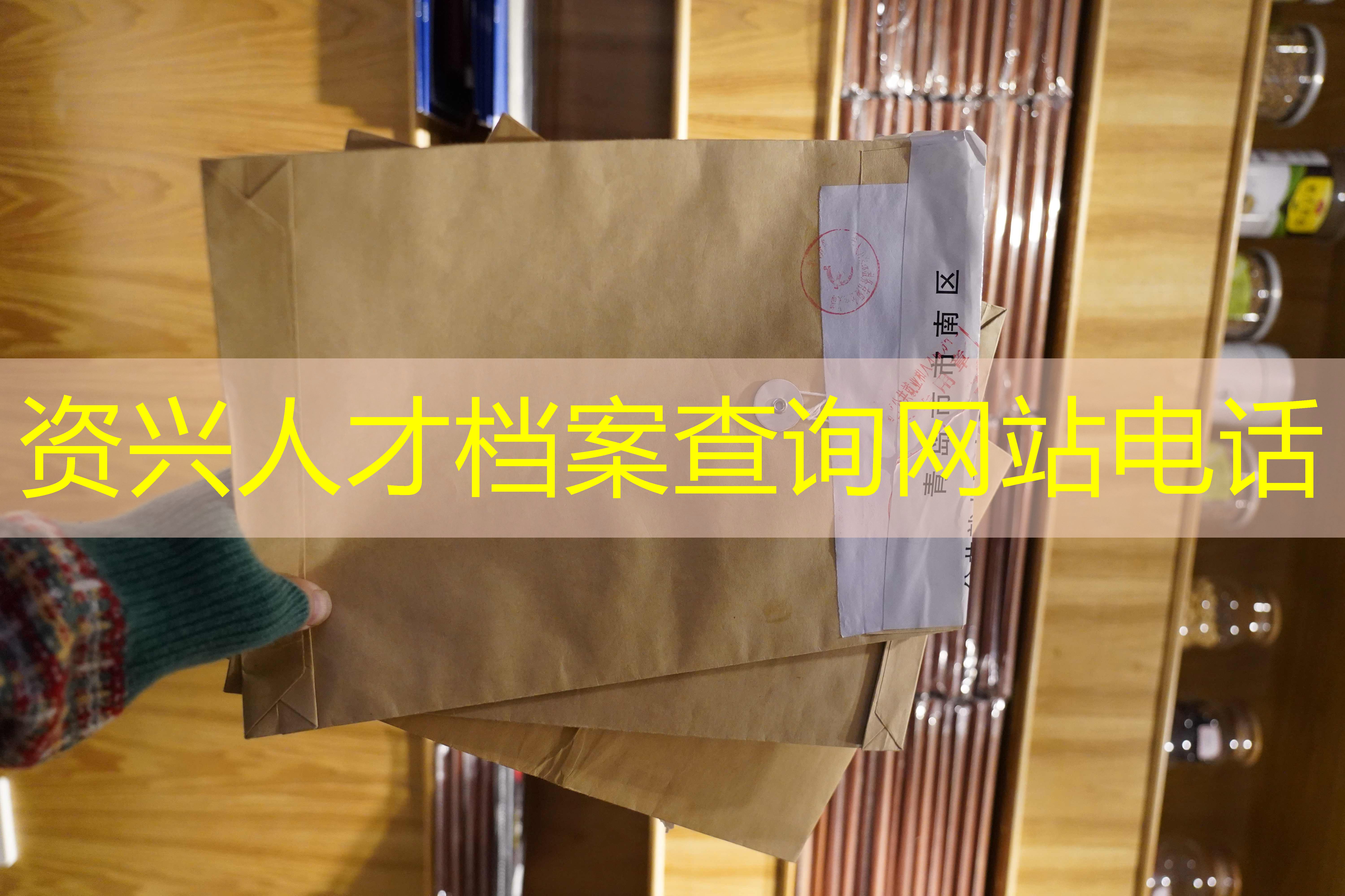 档案查询