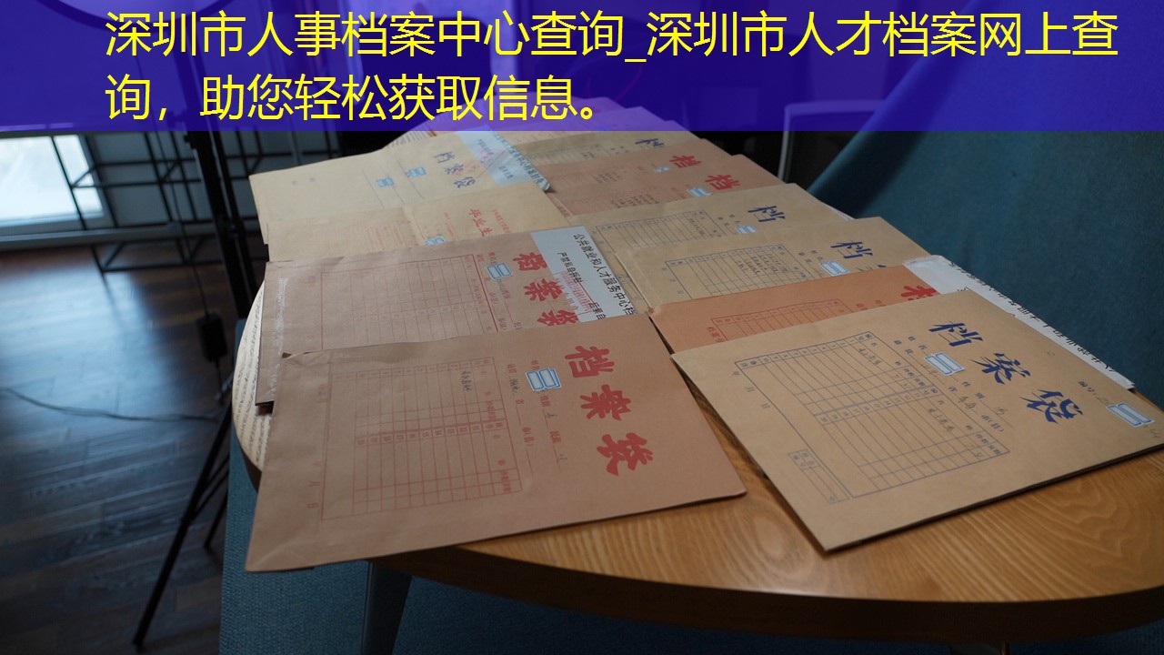 档案查询