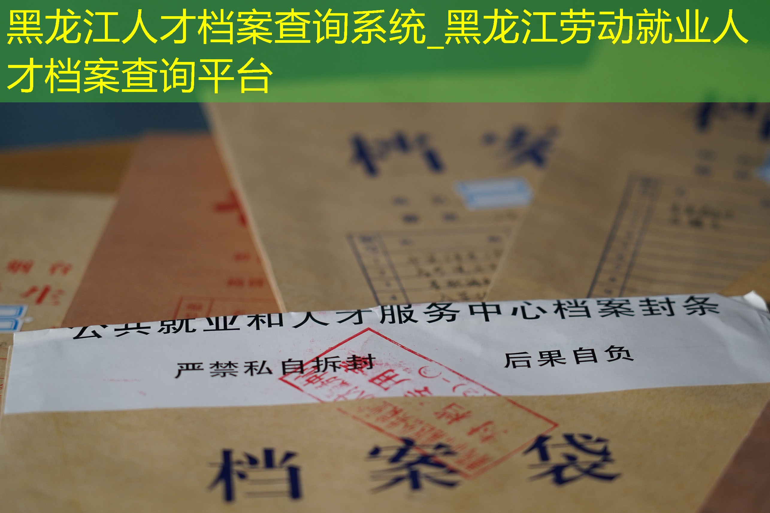 档案查询
