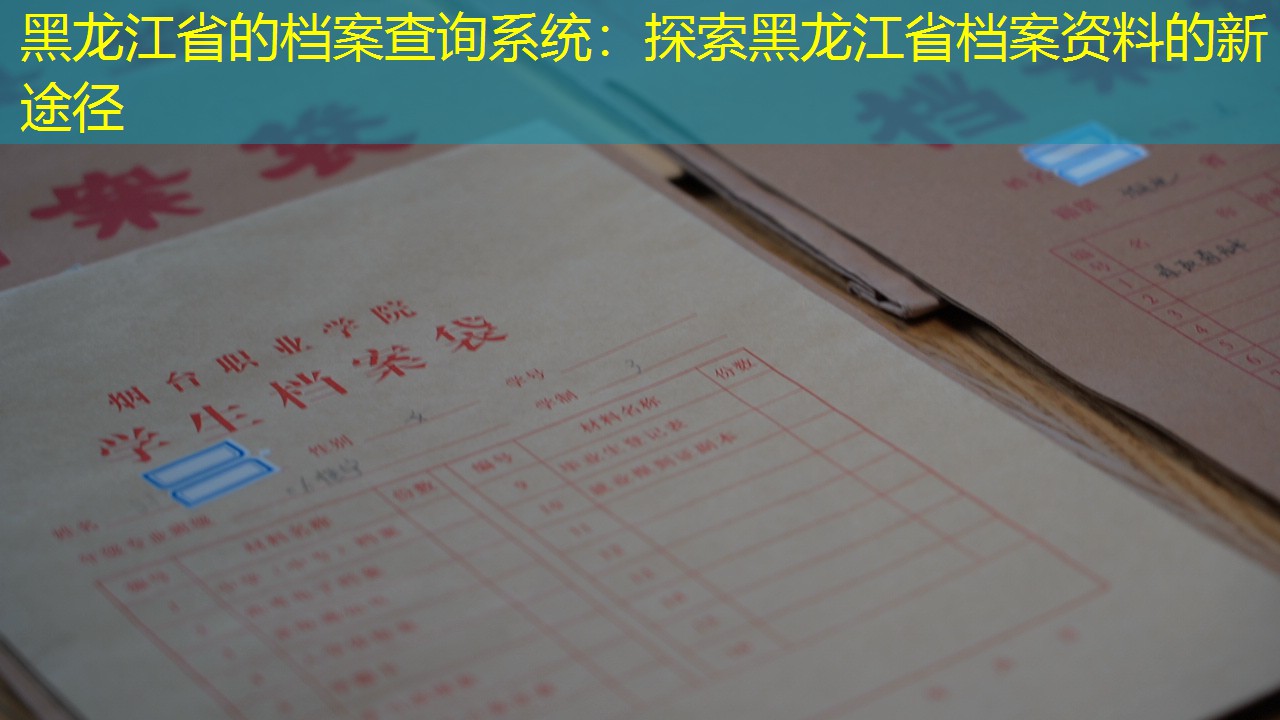 档案查询