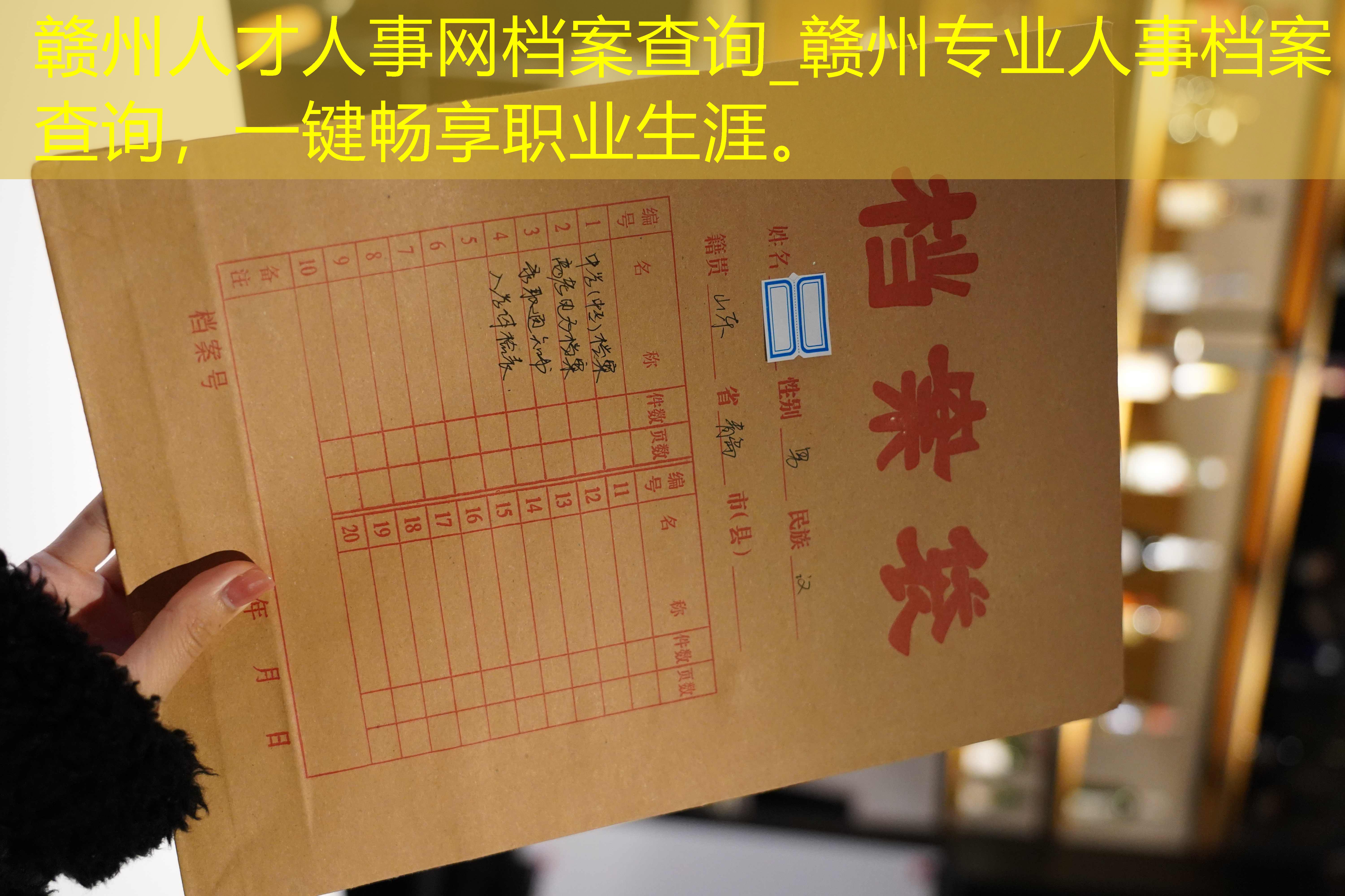 档案查询
