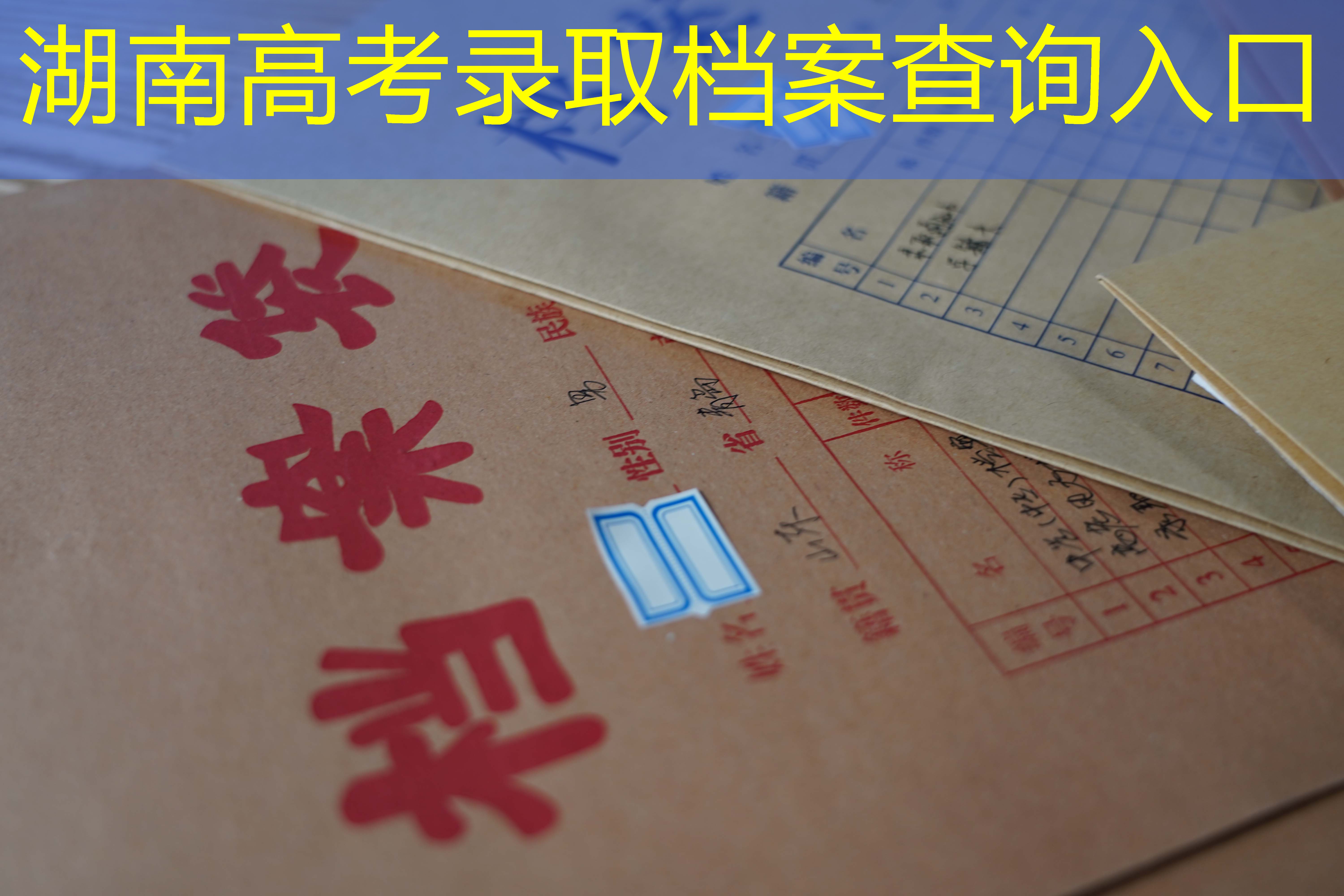 档案查询