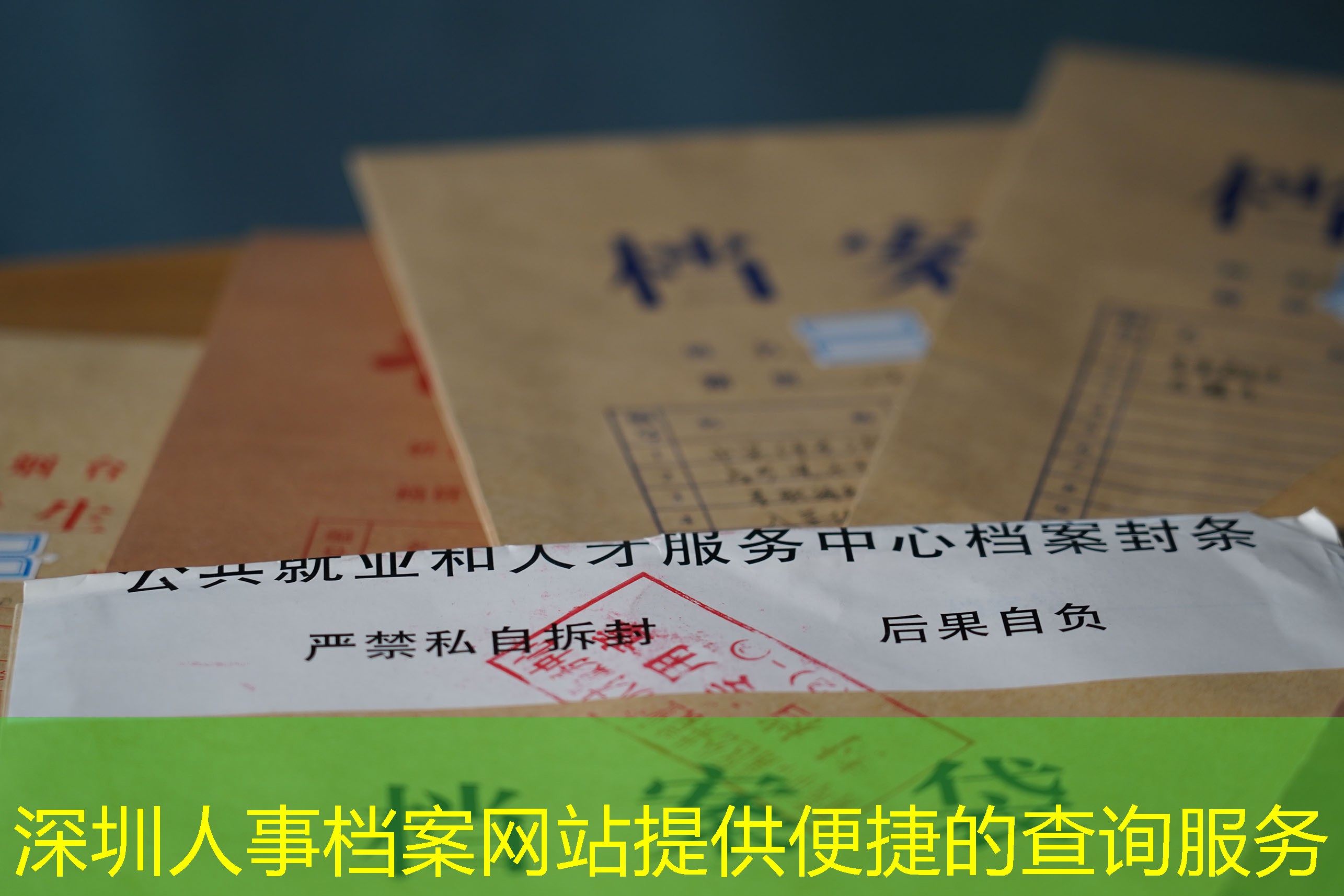 档案查询