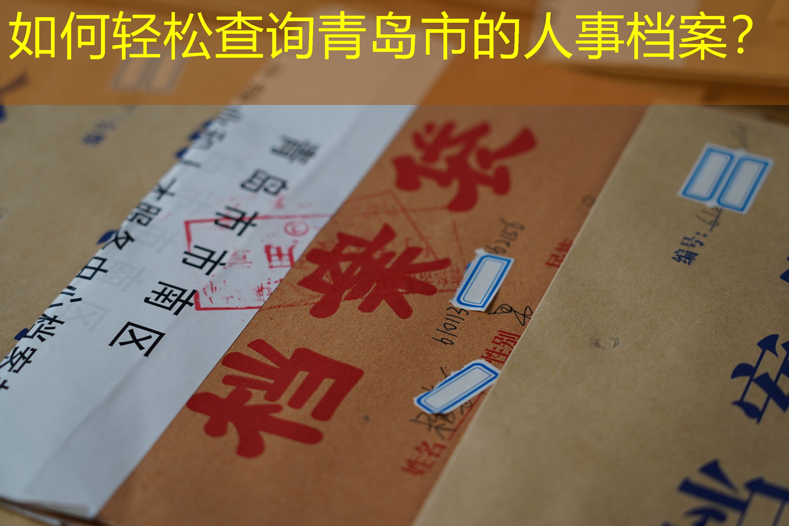 档案查询