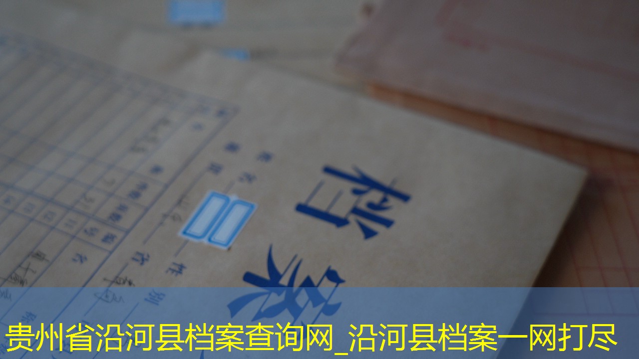 档案查询