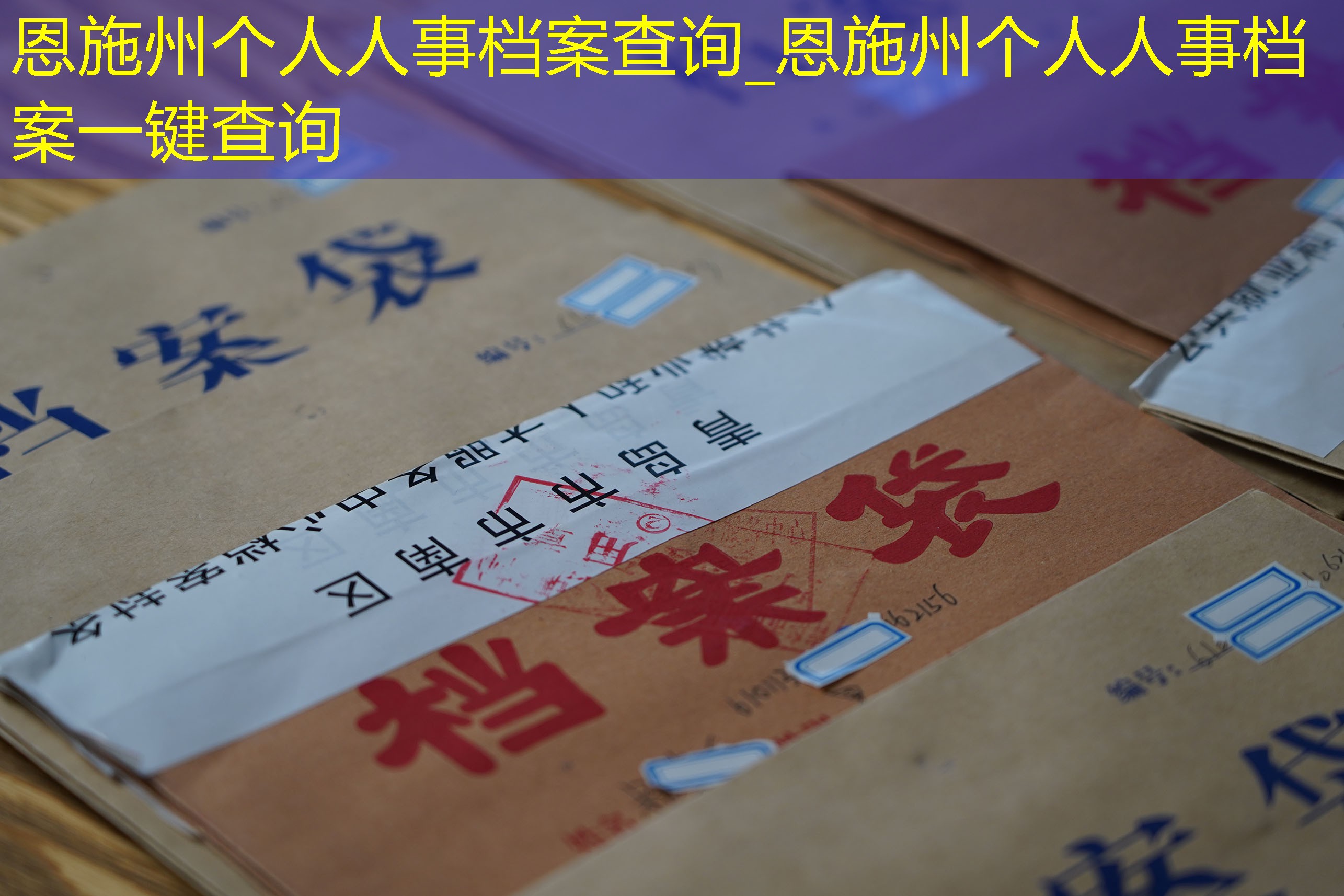 档案查询