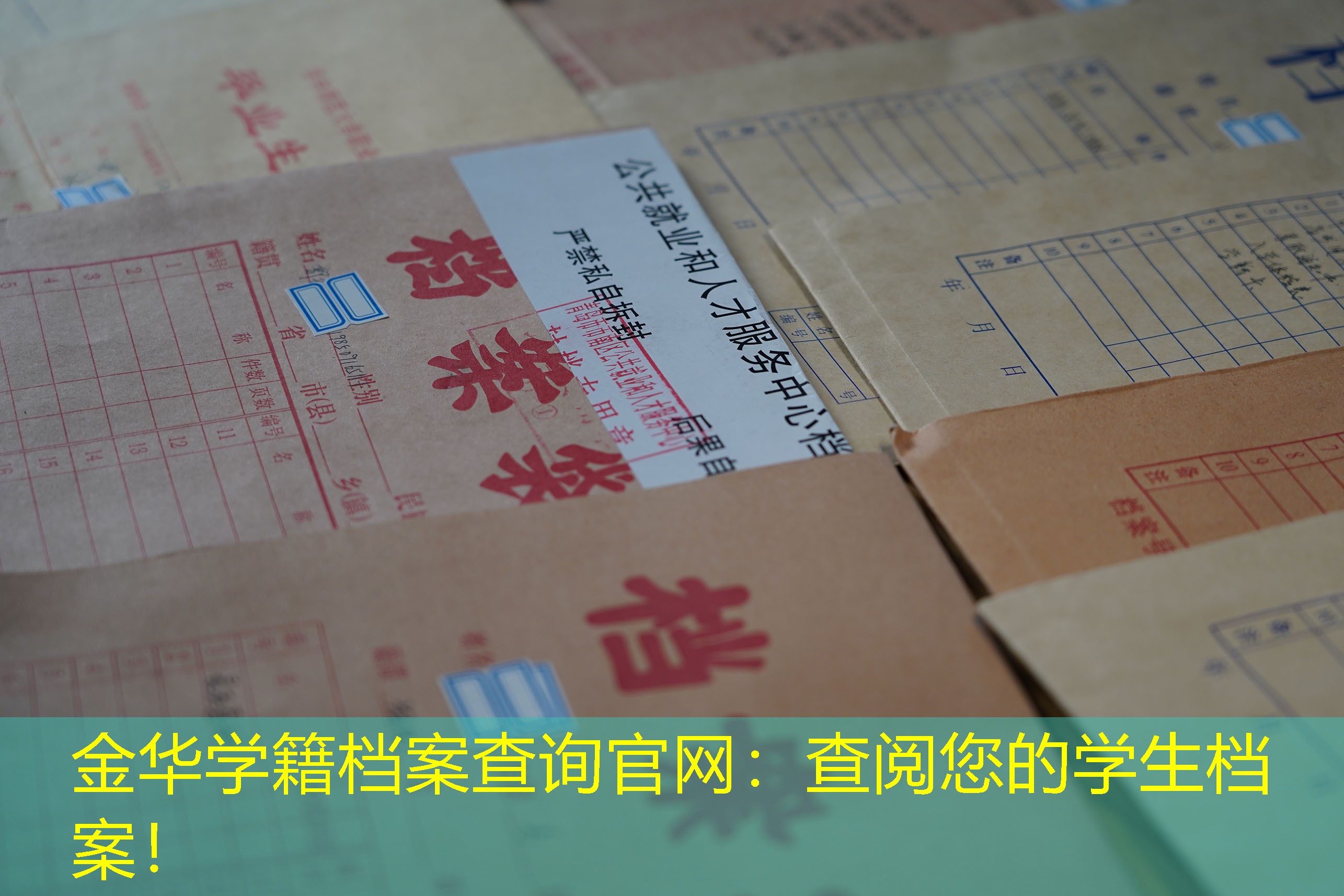 档案查询