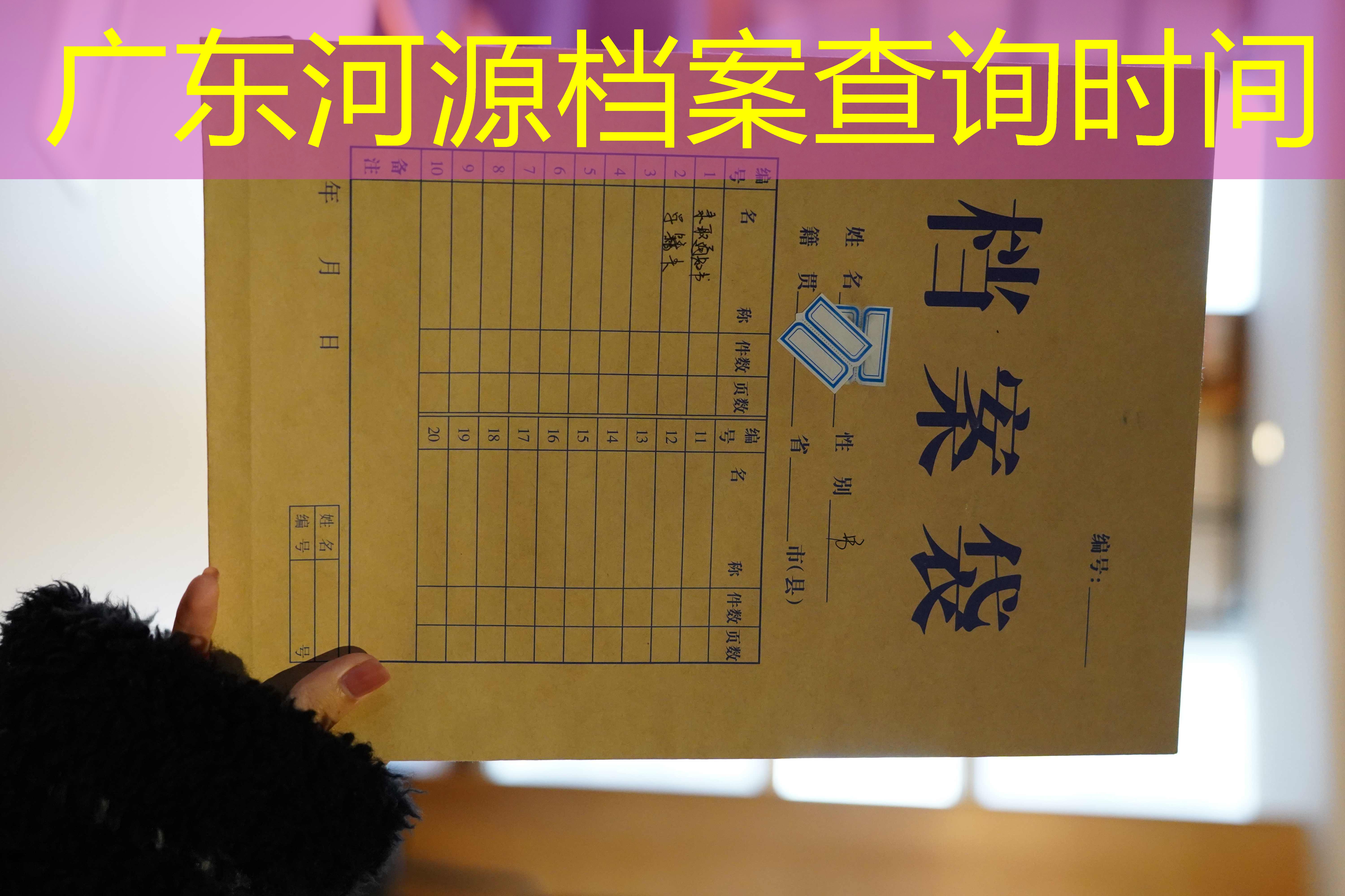 档案查询