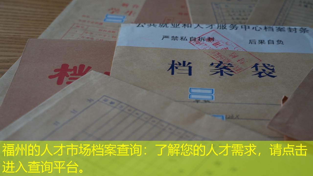档案查询