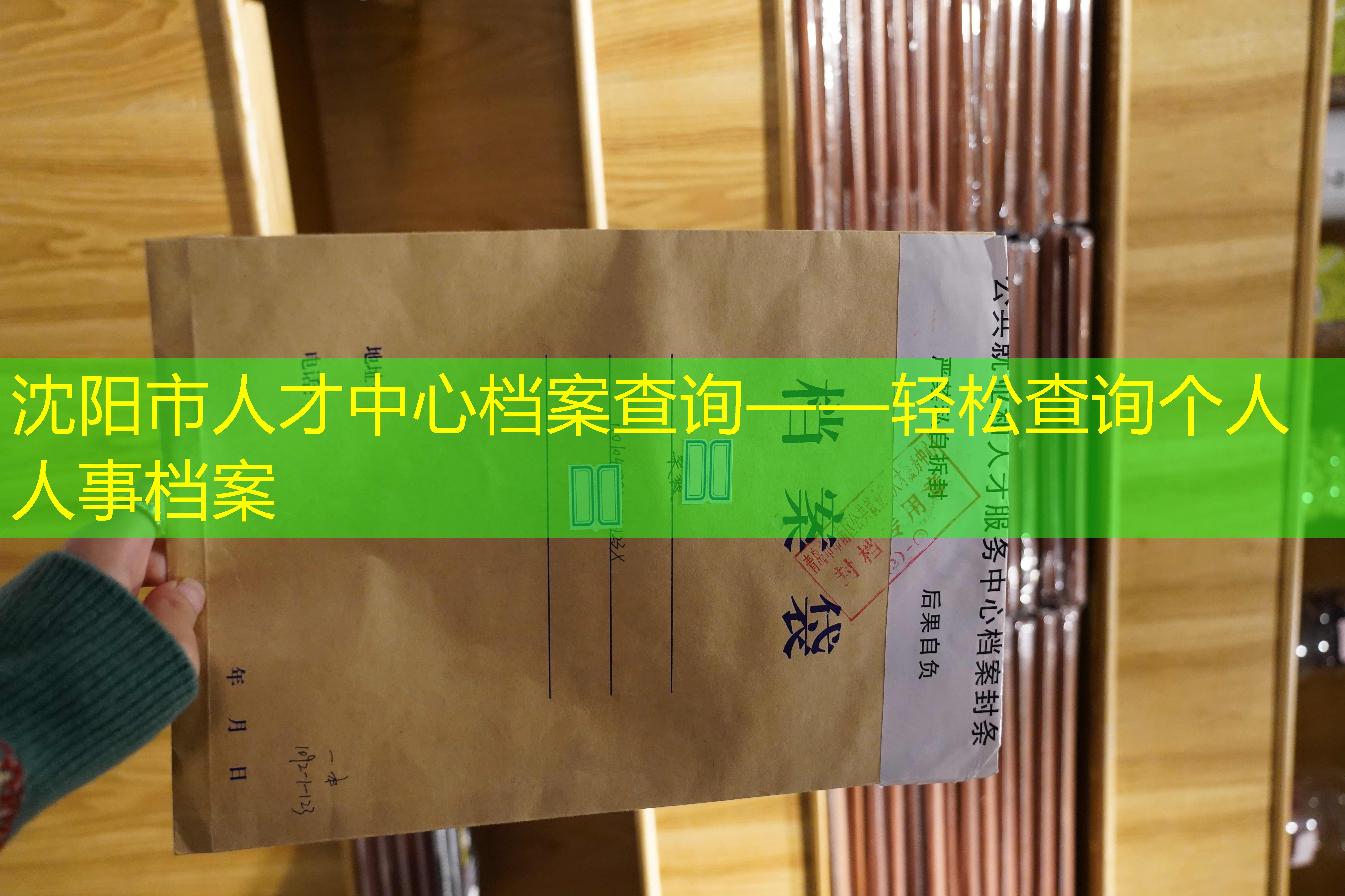 档案查询