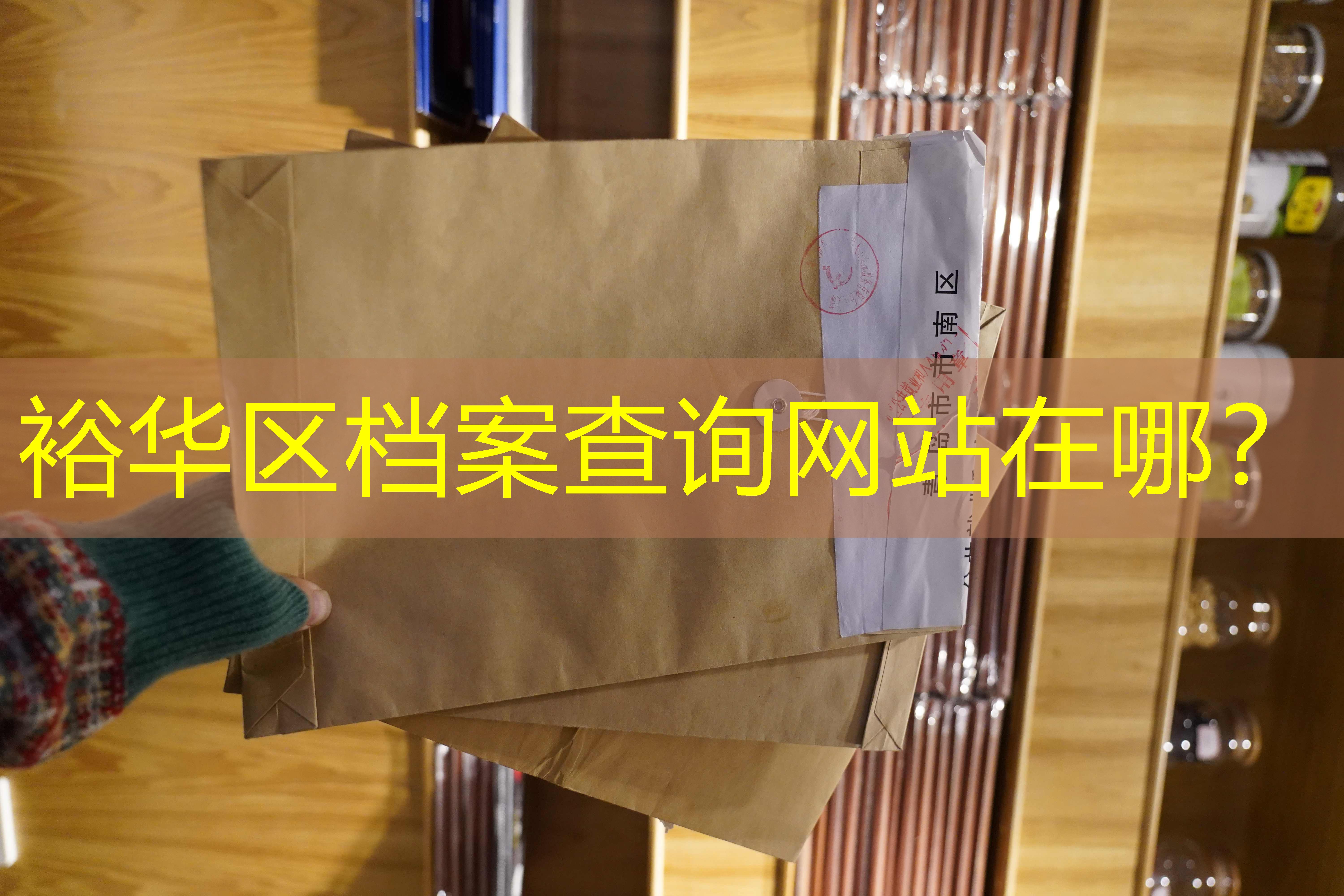 档案查询
