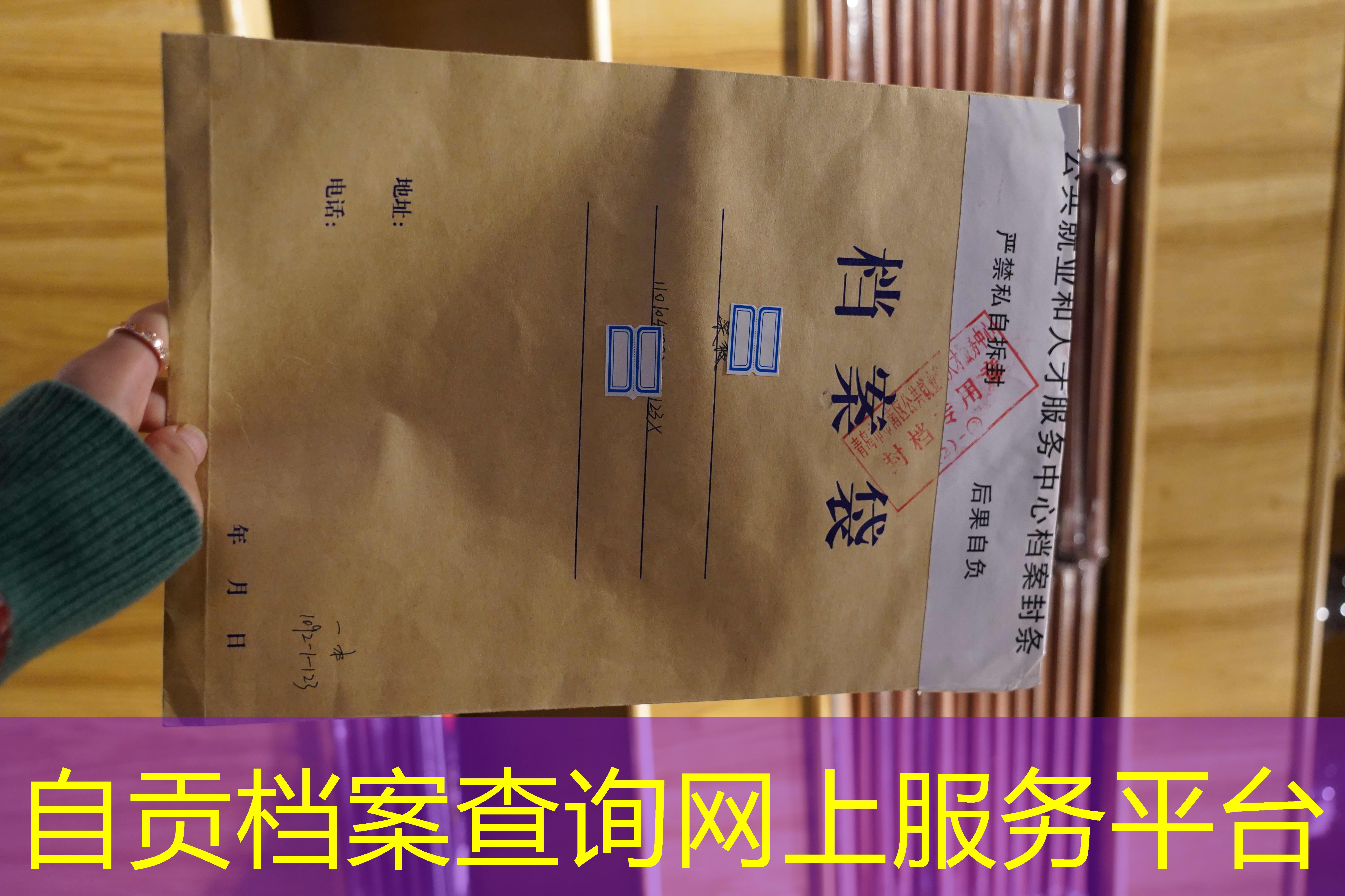 档案查询