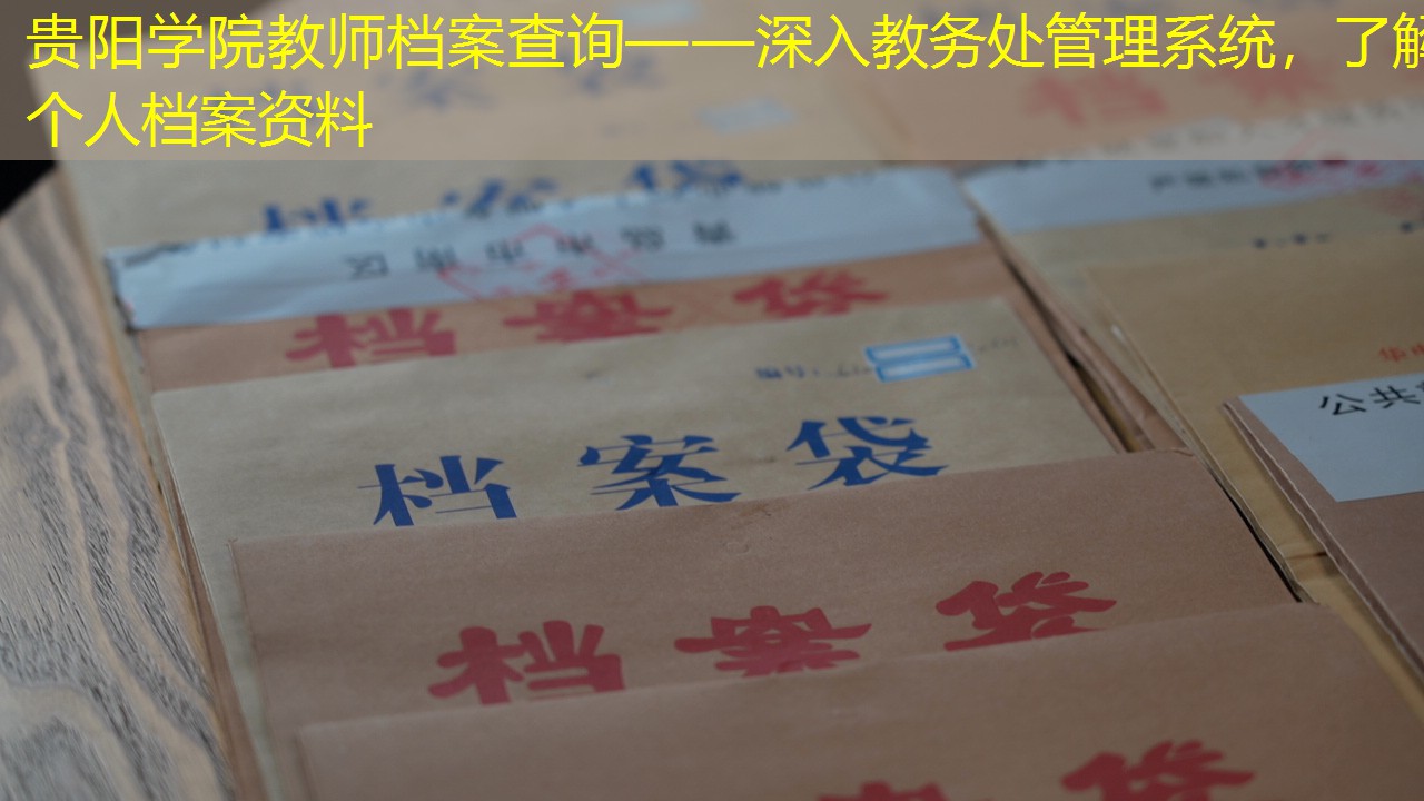 档案查询