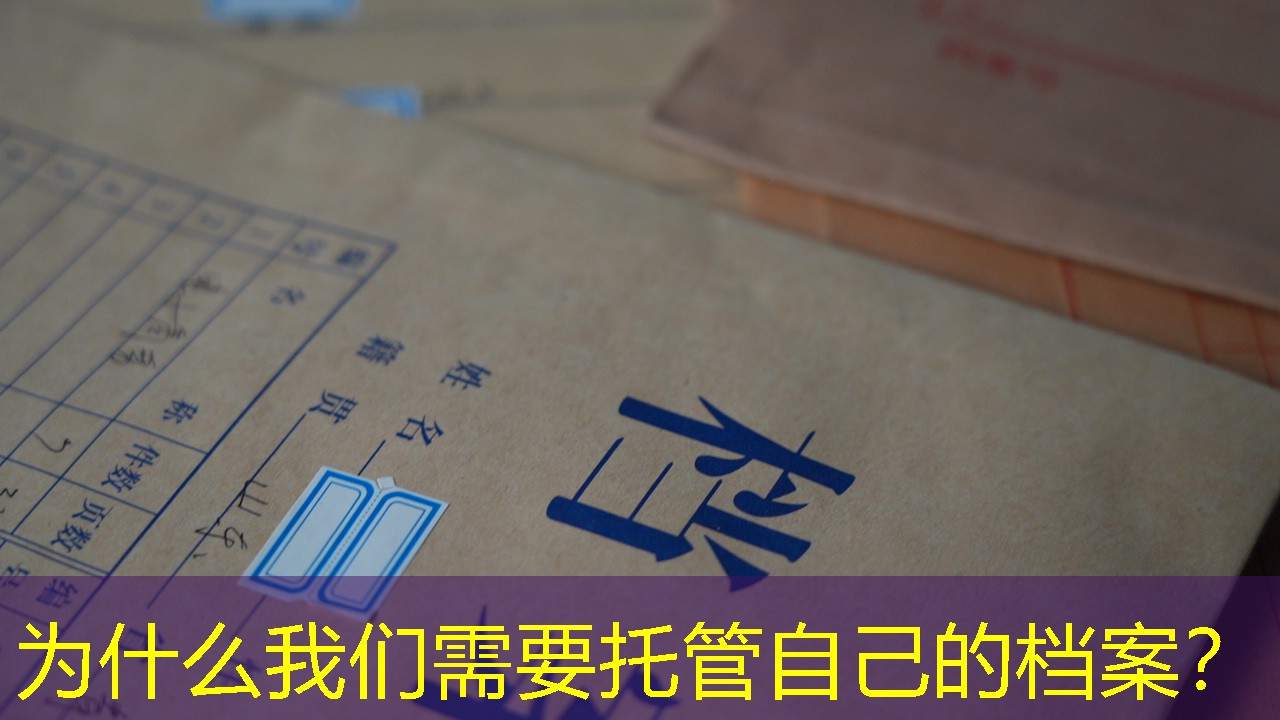 档案查询