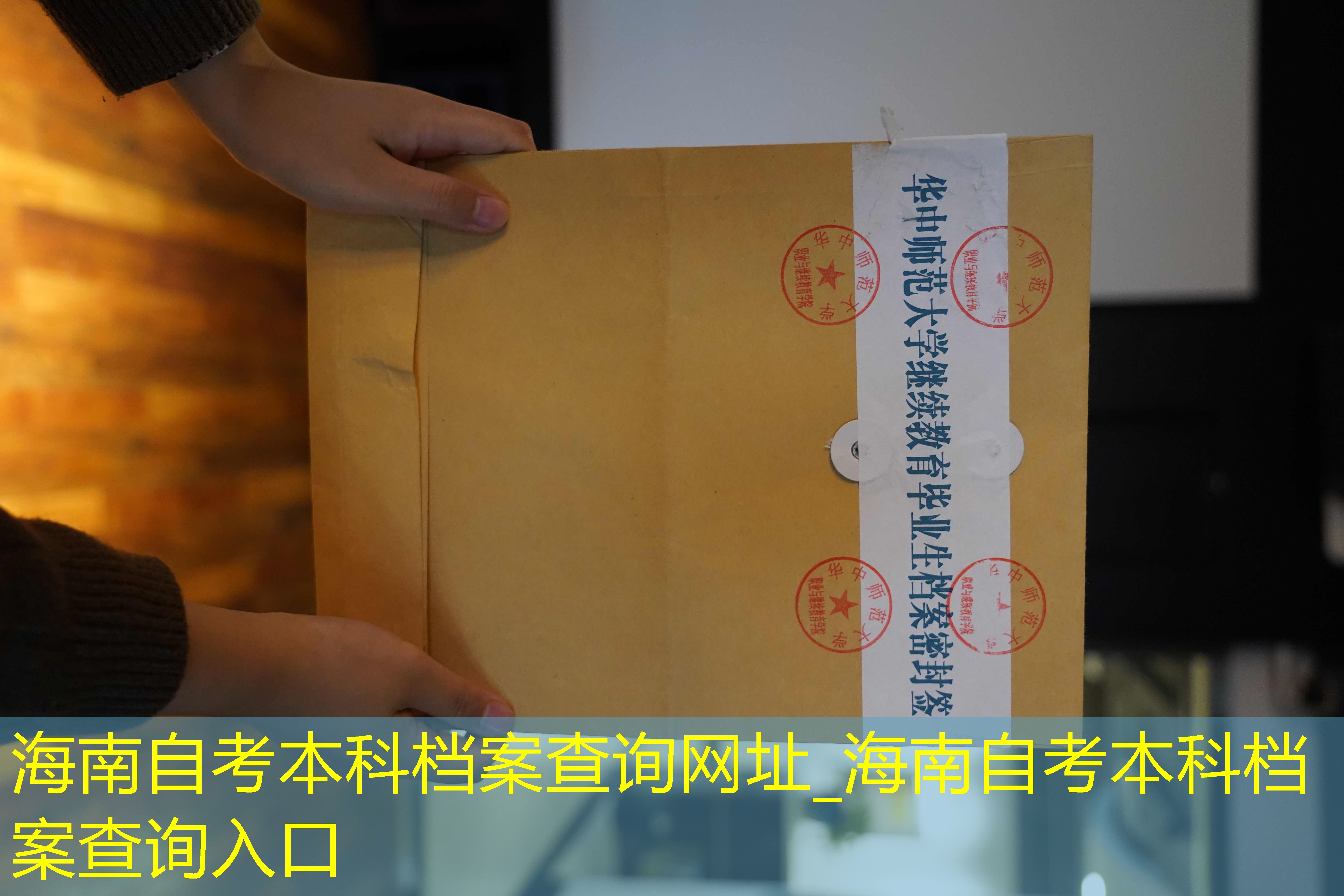 档案查询