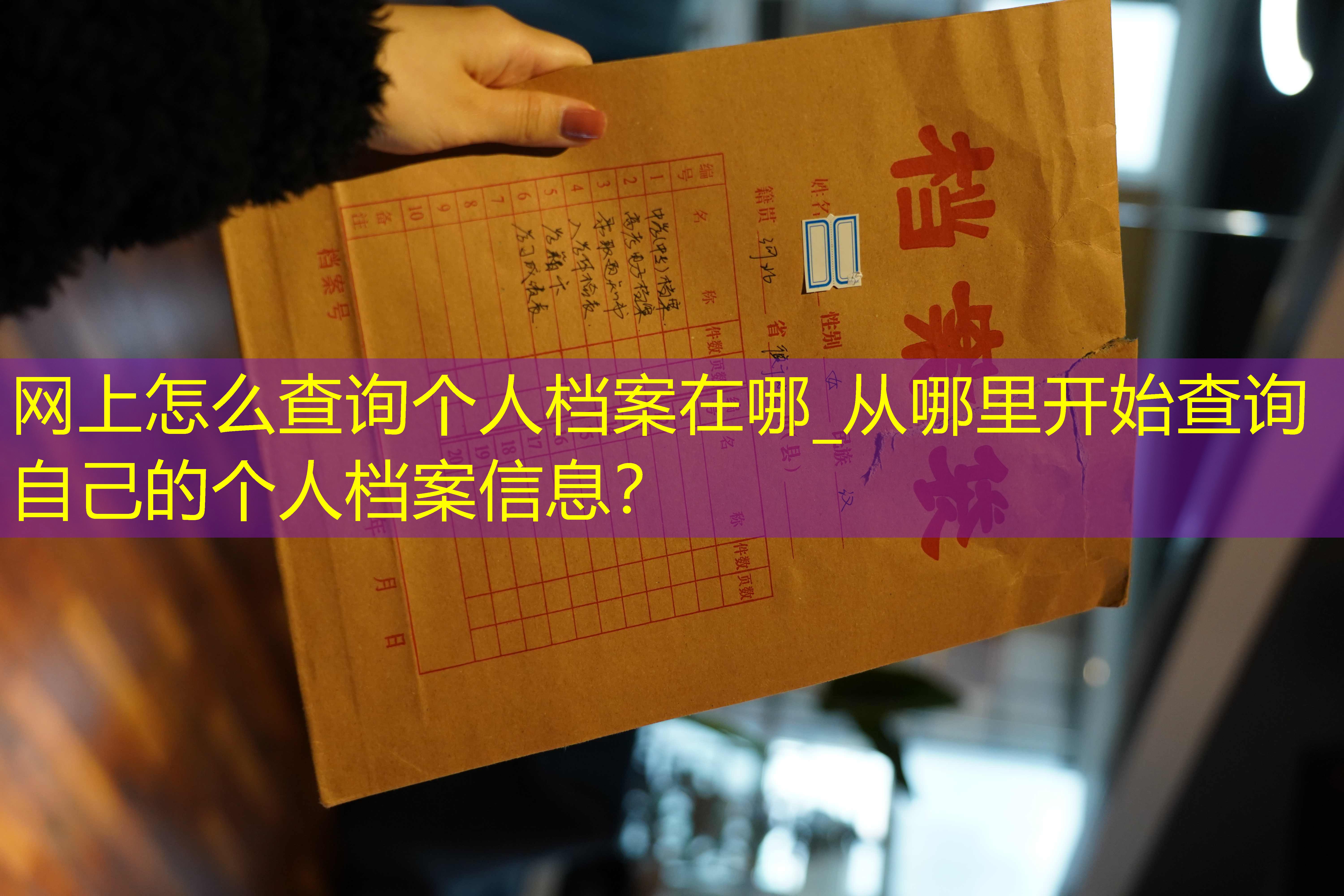 档案查询