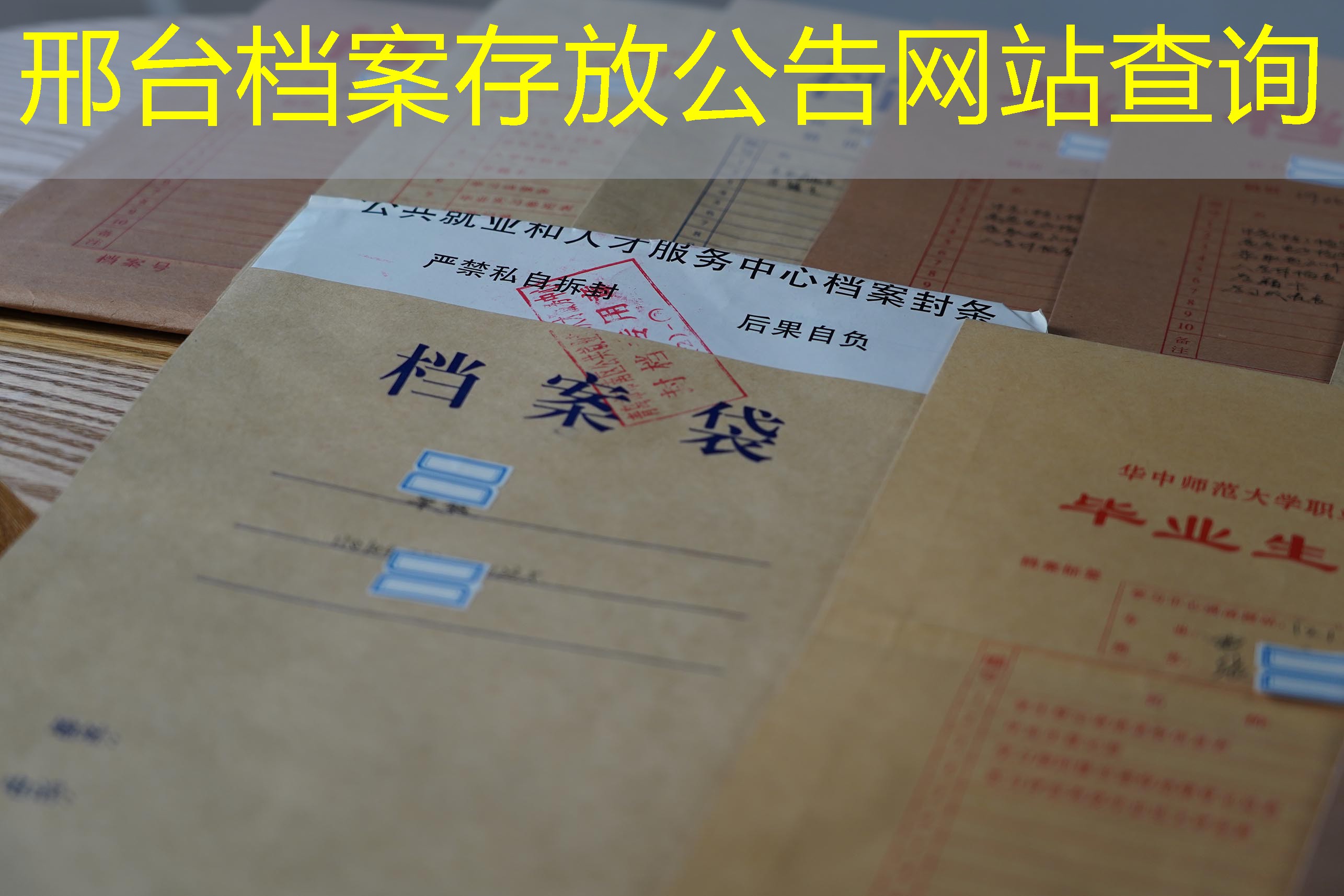 档案查询