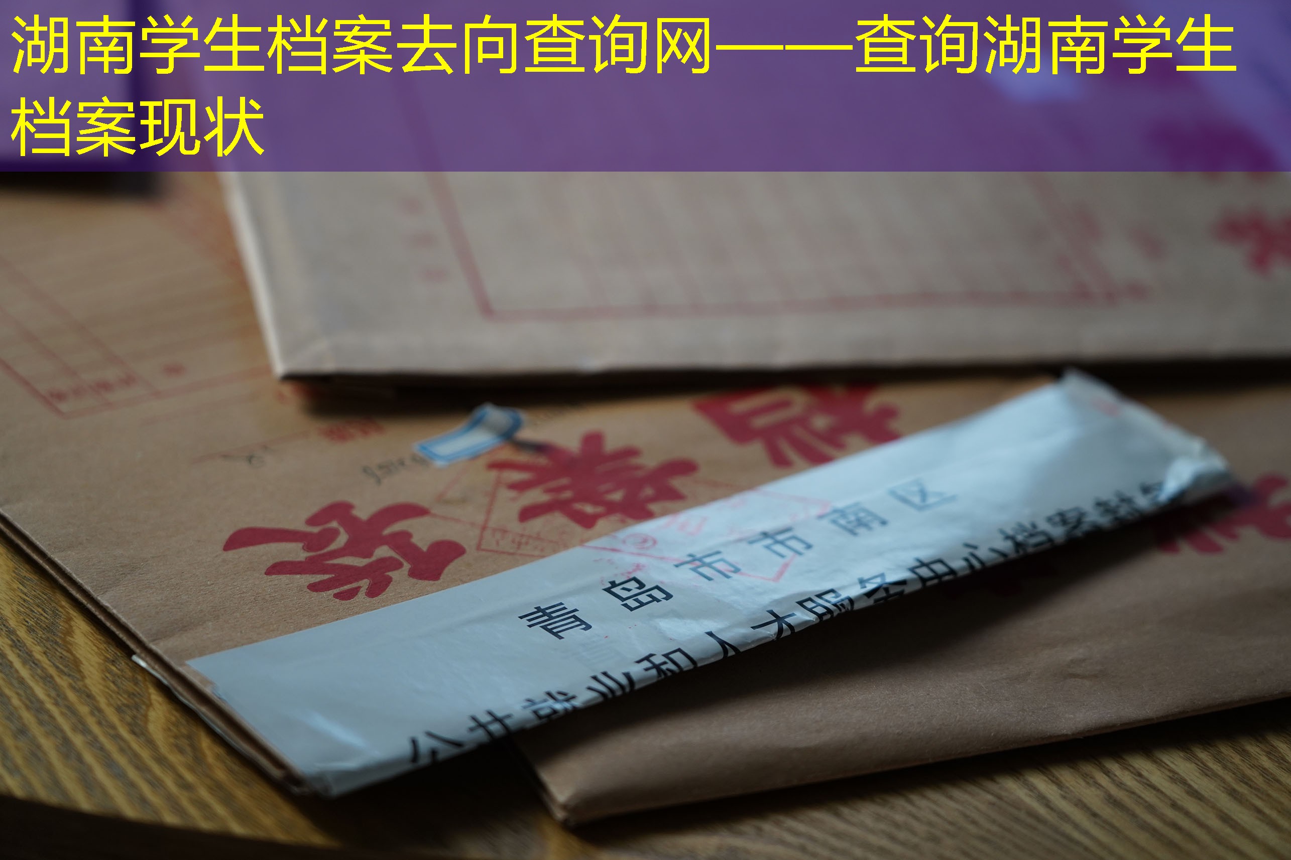 档案查询
