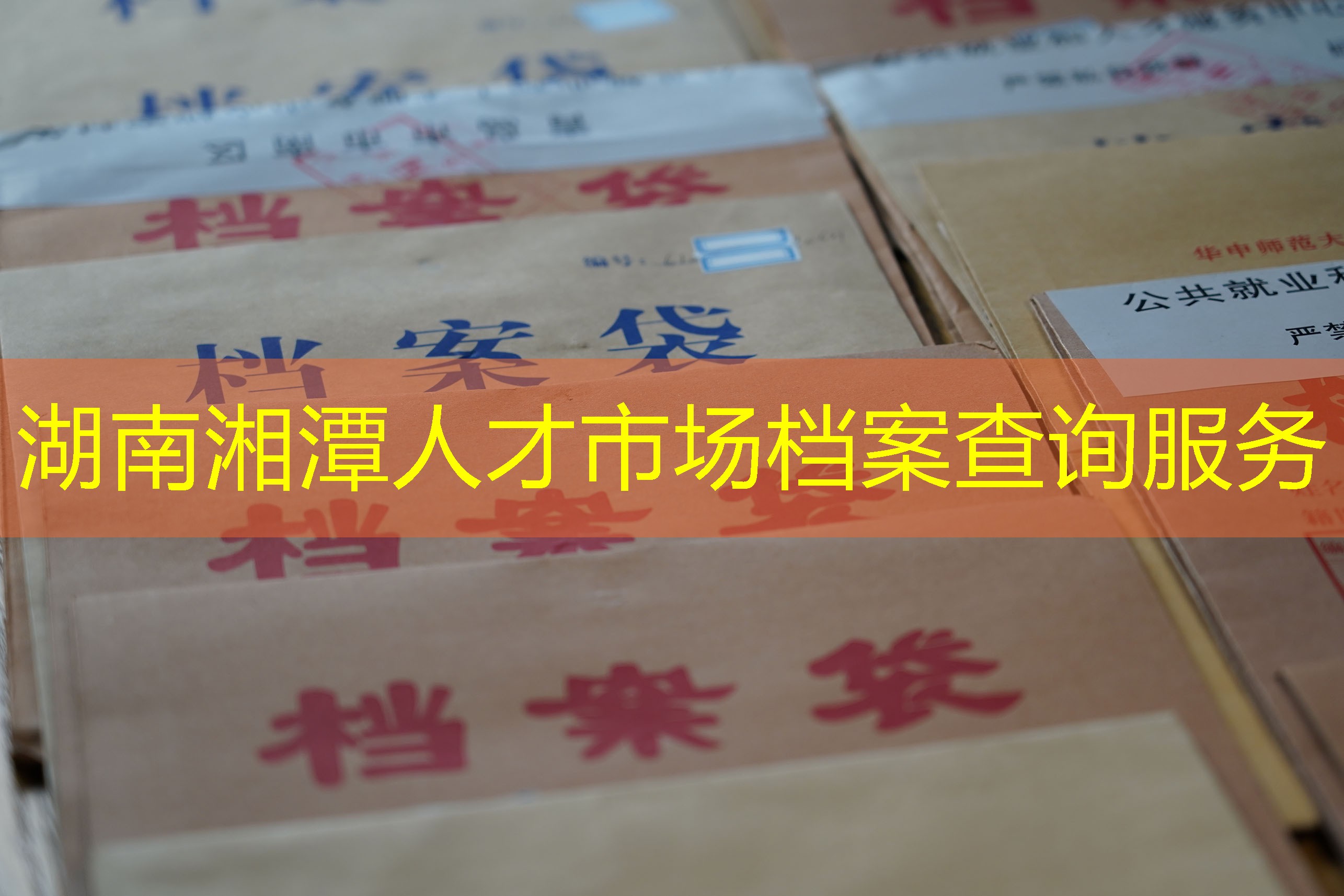 档案查询