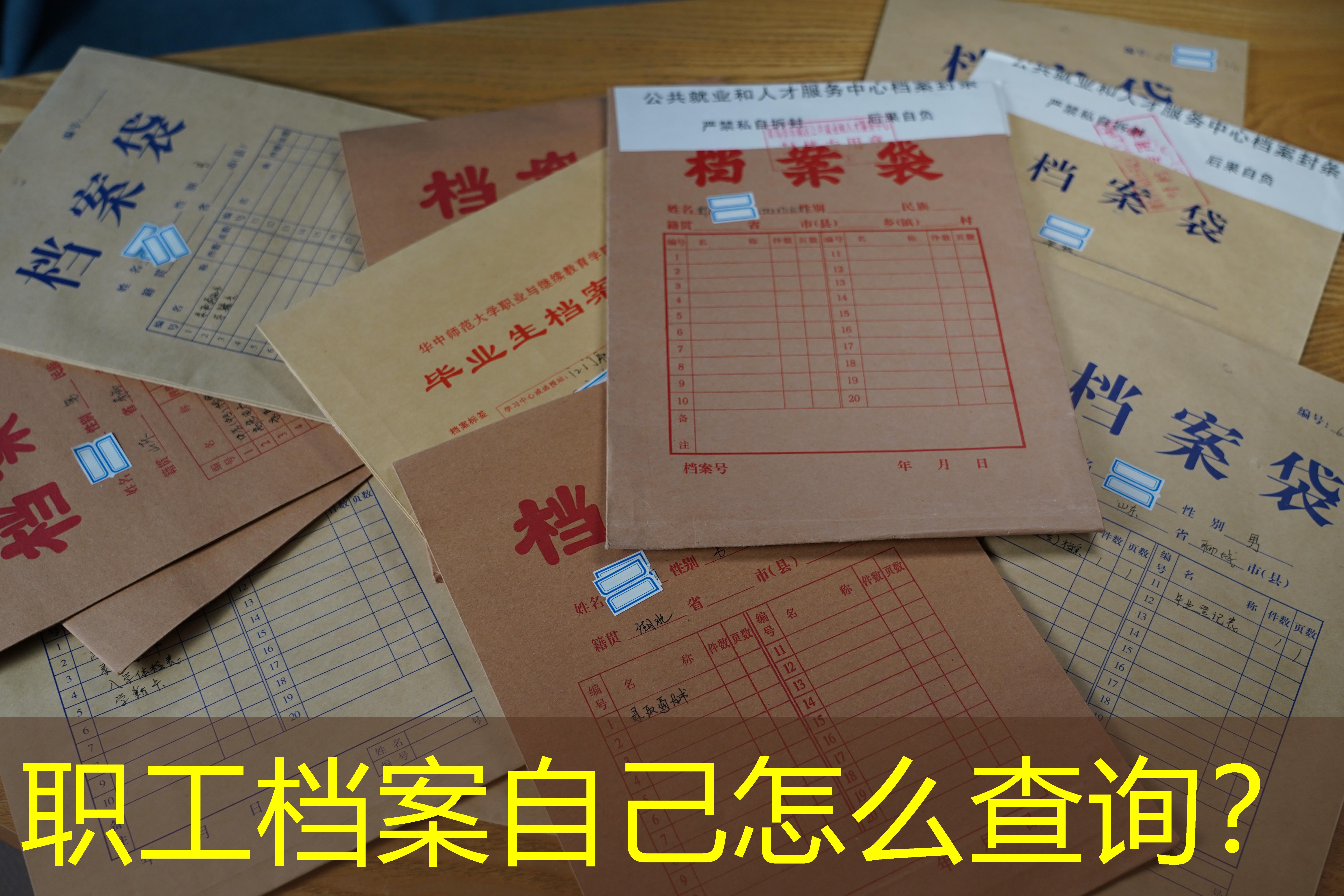 档案查询