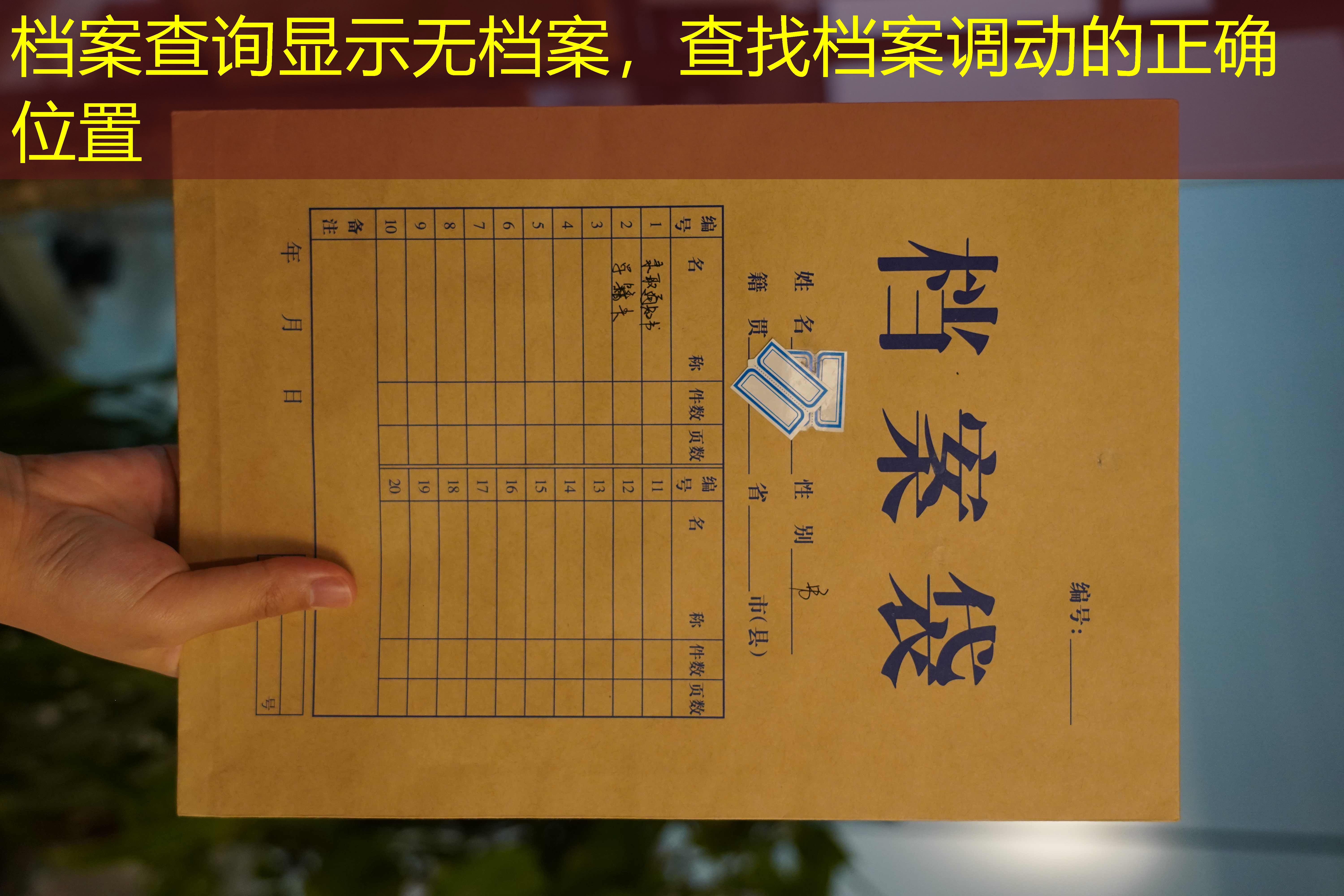 档案查询