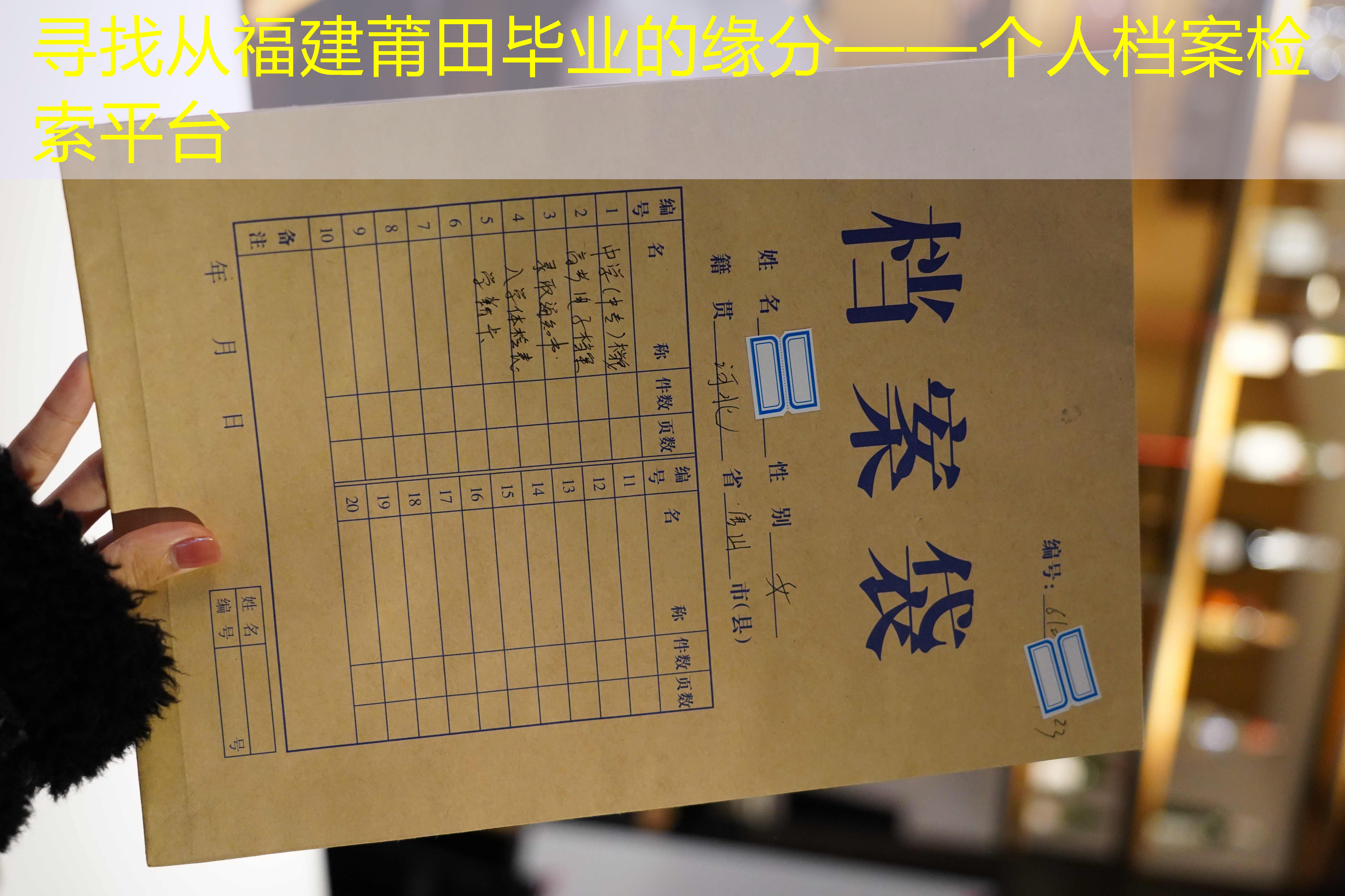 档案查询