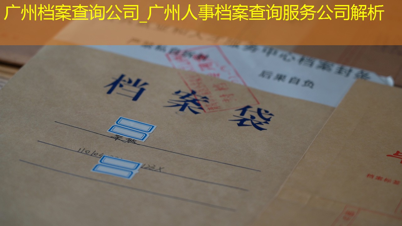 档案查询