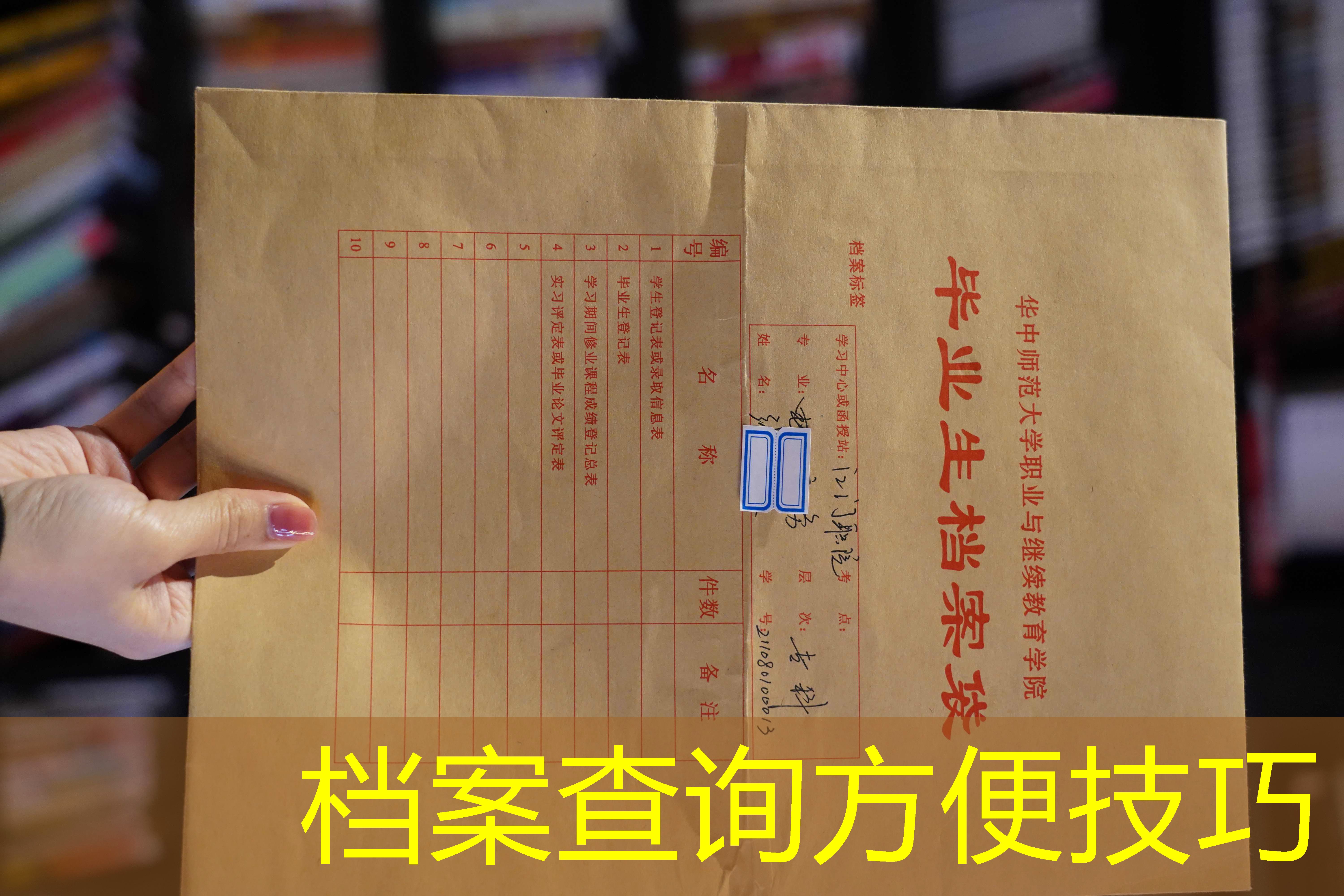 档案查询