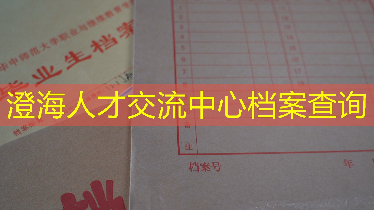 档案查询