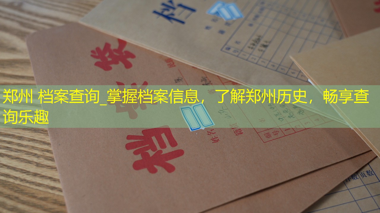 档案查询