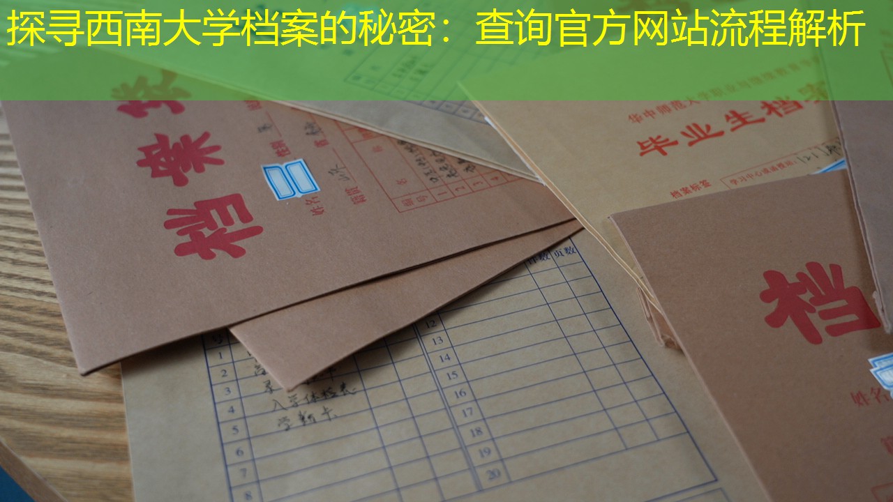 档案查询
