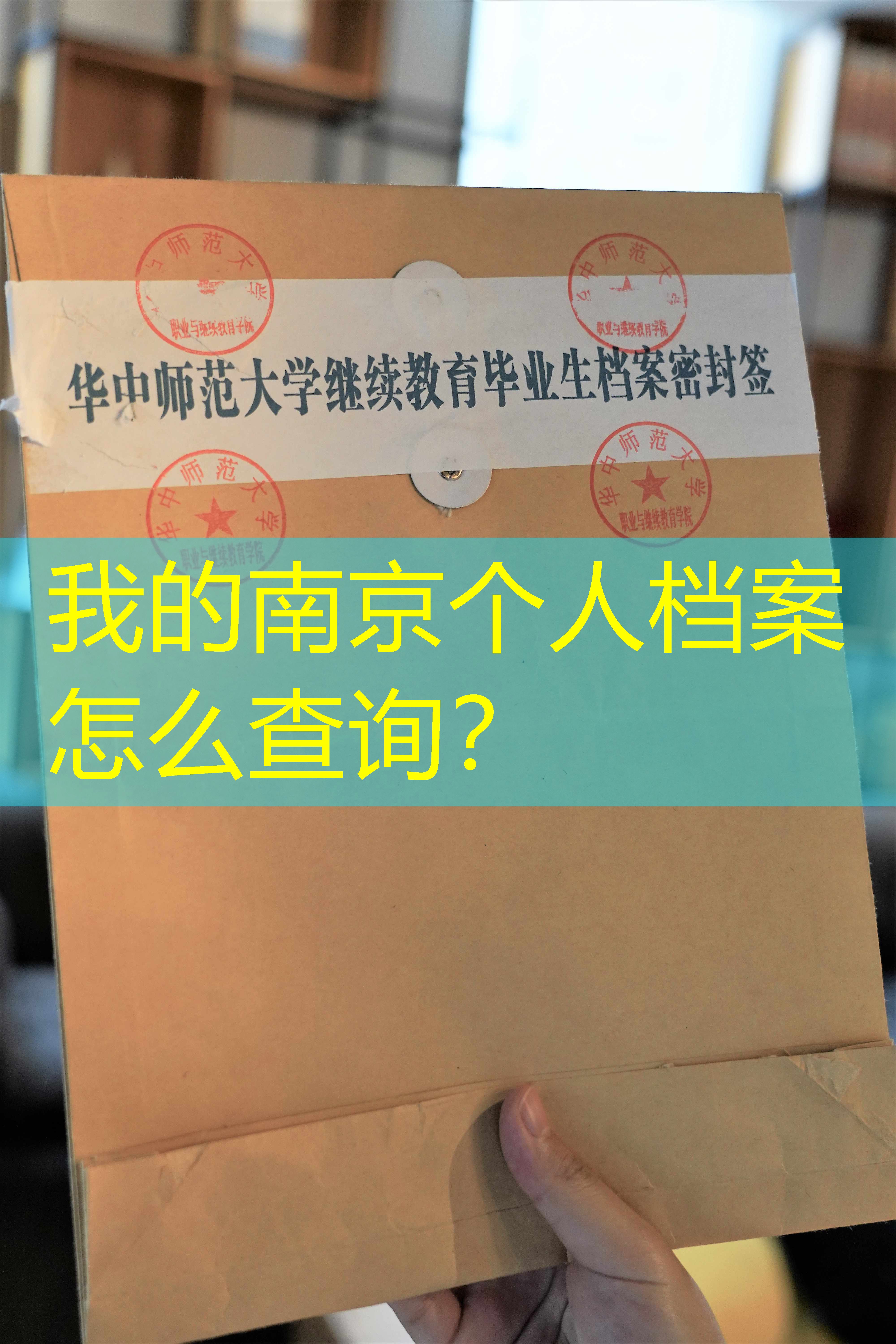 档案查询