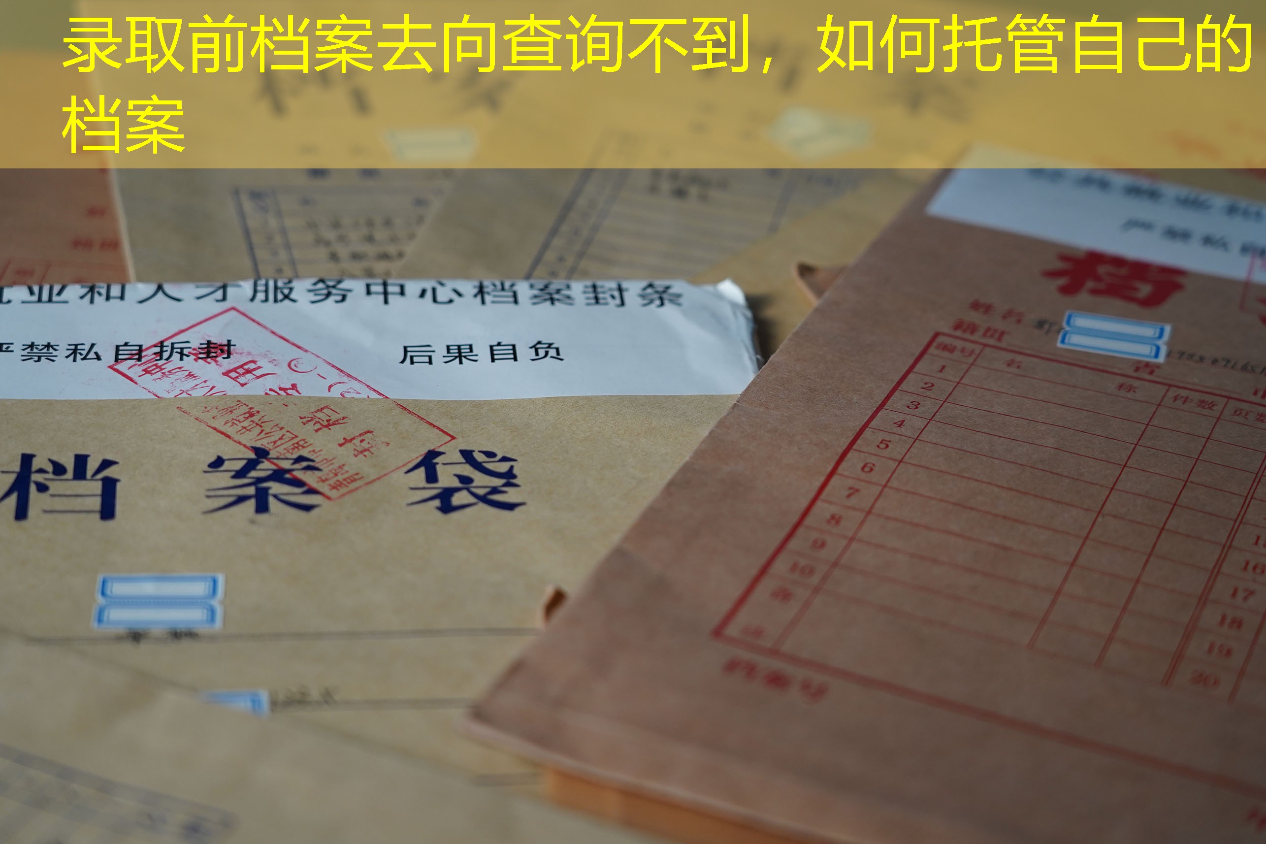 档案查询