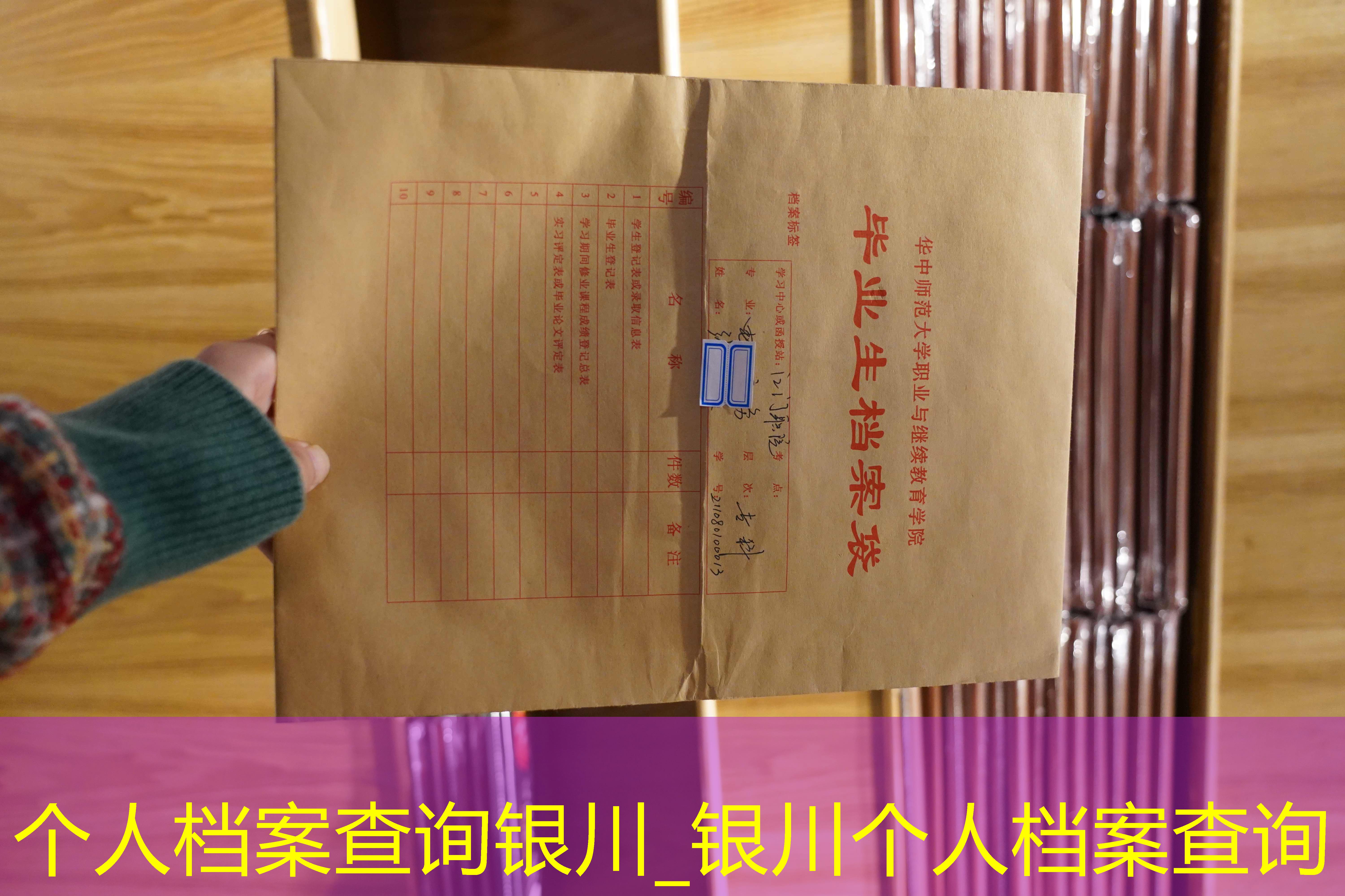 档案查询