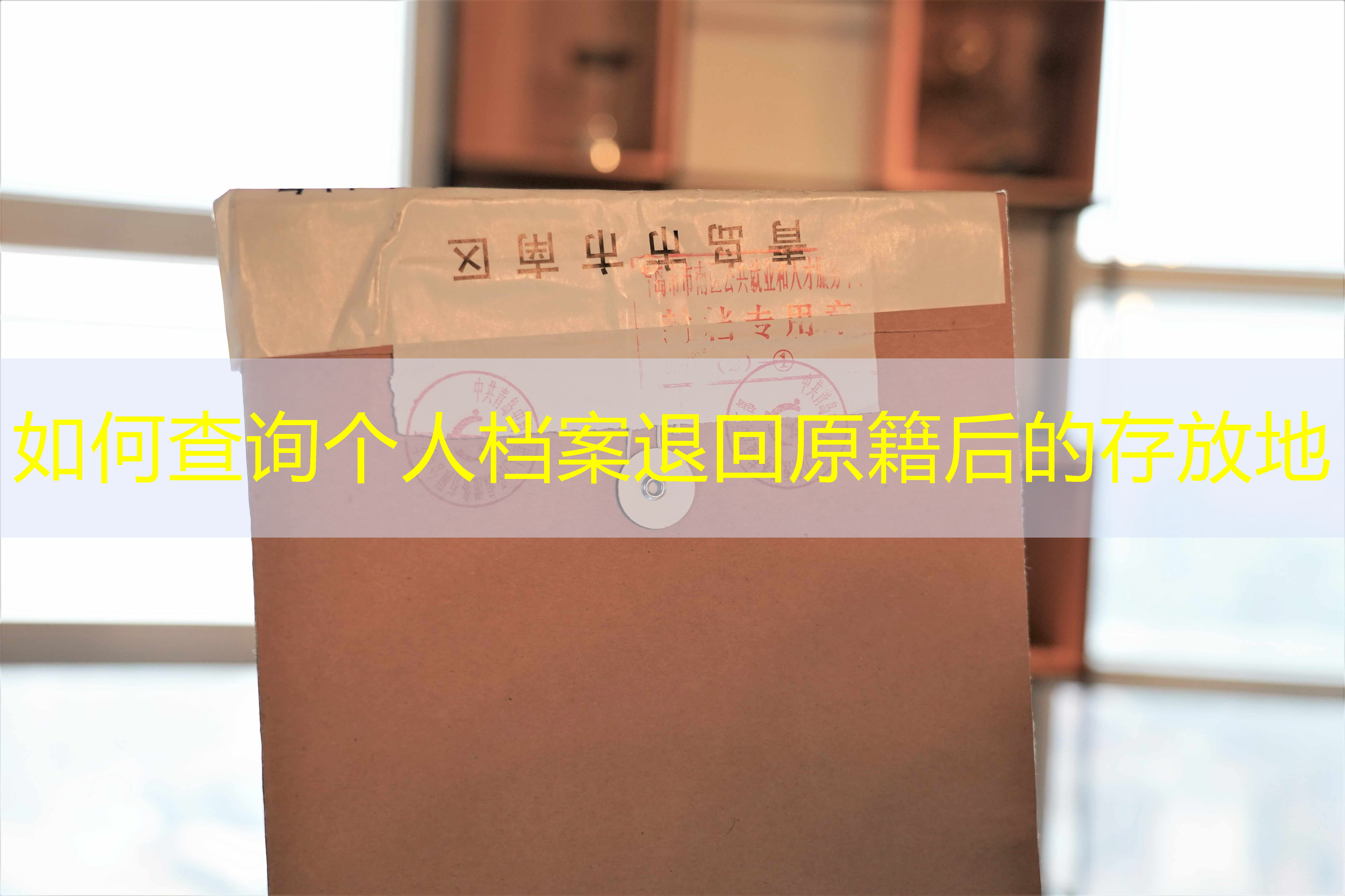 档案查询