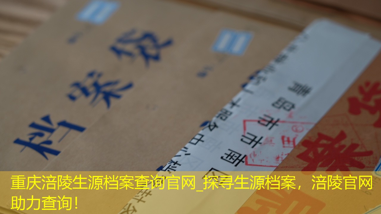 档案查询